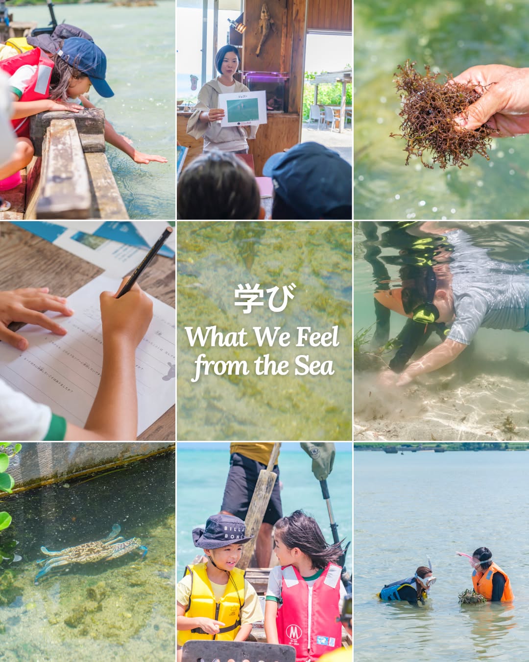 学び – What We Feel from the Sea
海の中をのぞいて、風を感じて、
たくさんのことを発見しました。
海の生きものたちを知ることから、
共存を考えるきっかけにしませんか。
⭐︎
⭐︎
Looking into the sea and feeling the wind,
we discovered so many things.
By learning about the creatures of the ocean,
let’s think about how we can live together with them.
#宮古島 #エコツアー #生物多様性 #ジュゴン #環境問題 #生物多様性保全
#miyakojima #miyakoisland #biodiversity #dugong #ecotourism #ecotour