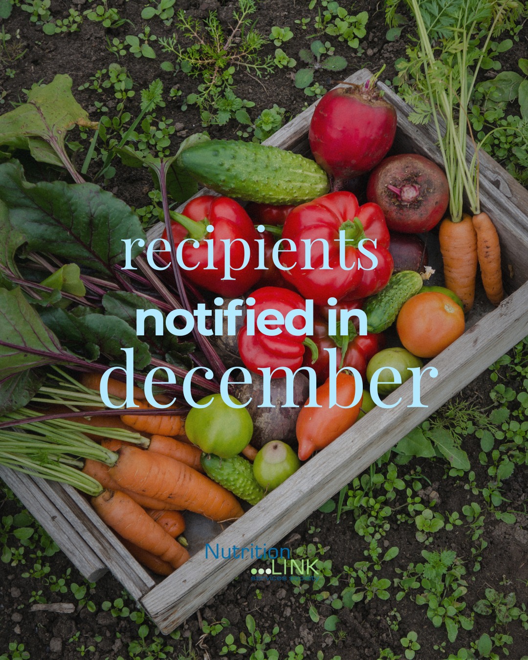 ✨ The wait is almost over! ✨
We’re thrilled to share that NutritionLink Grant recipients will be notified this December.
Each year, we review inspiring applications from across British Columbia, organizations that are making a real difference in how people learn about, access, and enjoy nutritious food. 🍎
💚 To everyone who applied this year: thank you for your commitment to building healthier, more food-secure communities. Your ideas embody what NutritionLink stands for: linking opportunity with impact.
#NutritionLinkGrants #FoodLiteracyBC #CommunityNutrition #PublicHealthNutrition #GrantRecipients #NutritionEducation #FoodSkillsMatter #BuildingHealthyCommunities