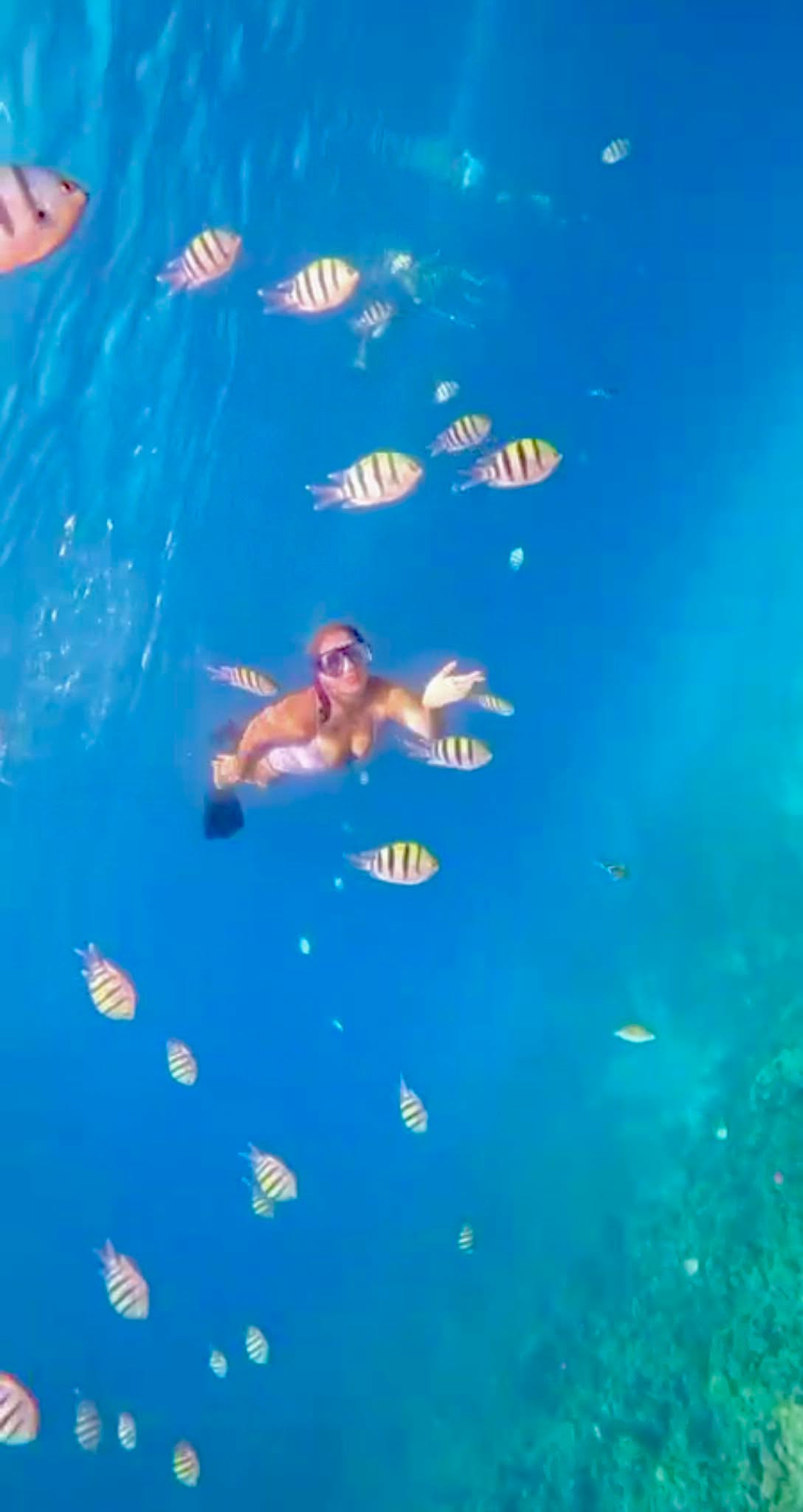 UNDERWATER LOVE 🐠💙
#redseaegypt #sharmelsheik #underwater