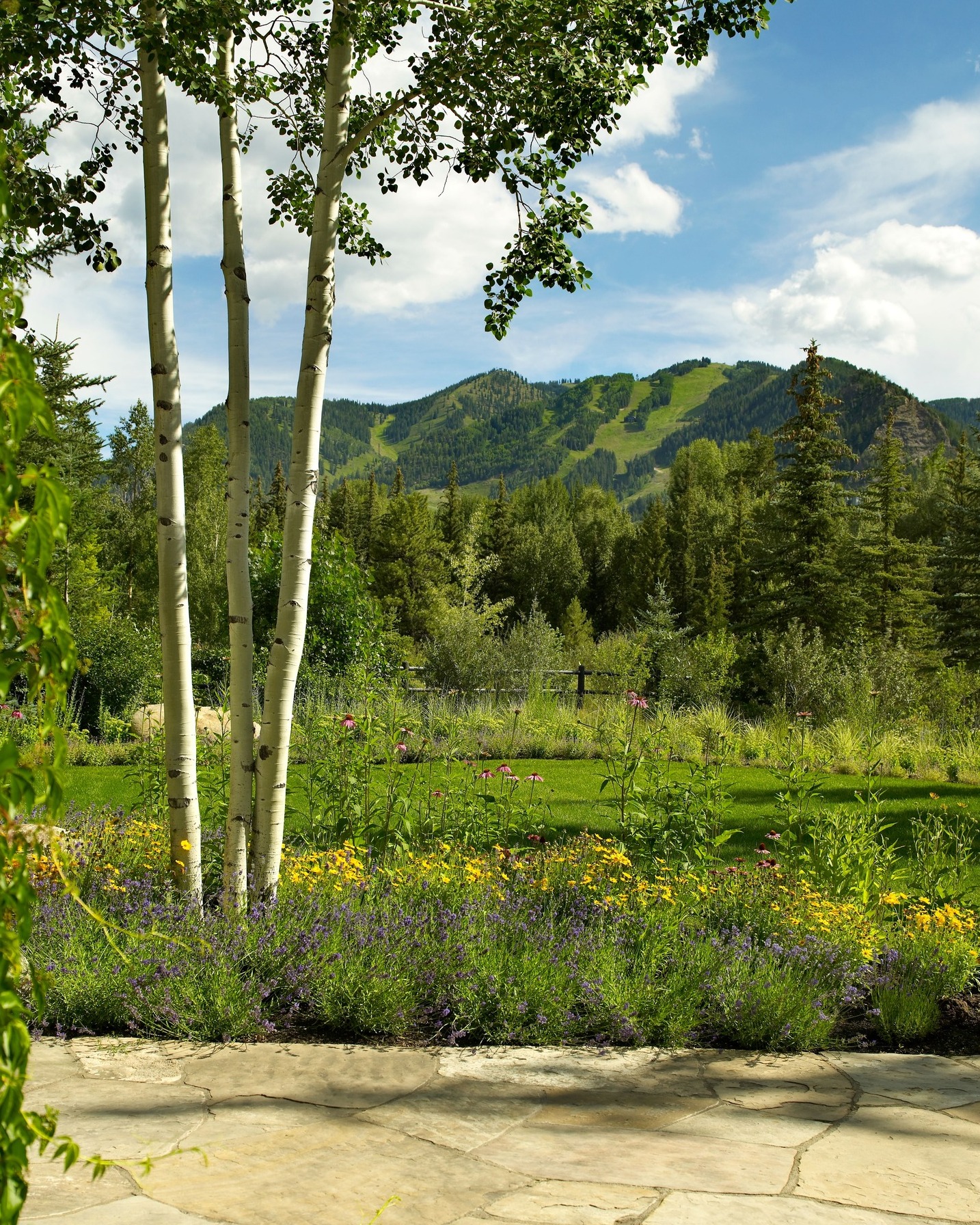 Often, the most effective design choice is the one with the lightest touch. ✨
On sites with prominent views ⛰, our conceptual process begins with strategies to direct viewlines, create frames, and connect the foreground to the larger landscape. In this project, native perennials 🌿🌺 and a cluster of aspens frame the view of the adjacent ski slope while grounding the design with plant material indigenous to the area, minimizing distractions.
#landscapearchitecture #landscapedesign #landscape #gardendesign #luxurydesign #luxurylandscape #gardeninspiration #gardensofinstagram #landscapes #landarch #landscapefirst #LowImpactDesign #DesignWithPurpose #PlaceBasedDesign #DesignInspiration