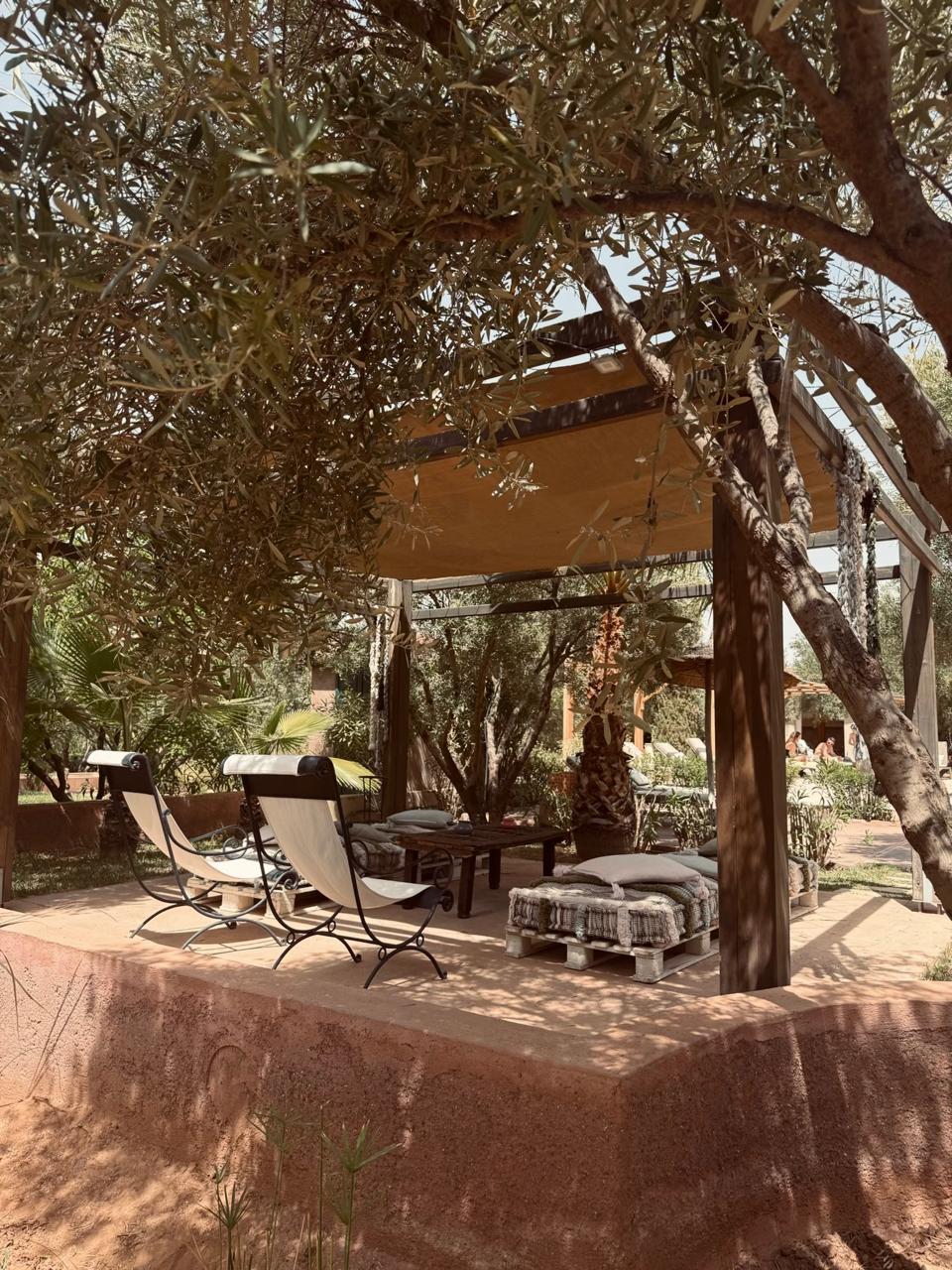 Ici, plein de spots comfy pour vos activités préférées : lecture, sieste ou apéro au soleil. À vous de choisir ! ☀️📚🍹
#chill #domainedetam #tameslohte #marrakech #morocco #hotelmarrakech #maisondhotes #holiday #relax #lifestyle