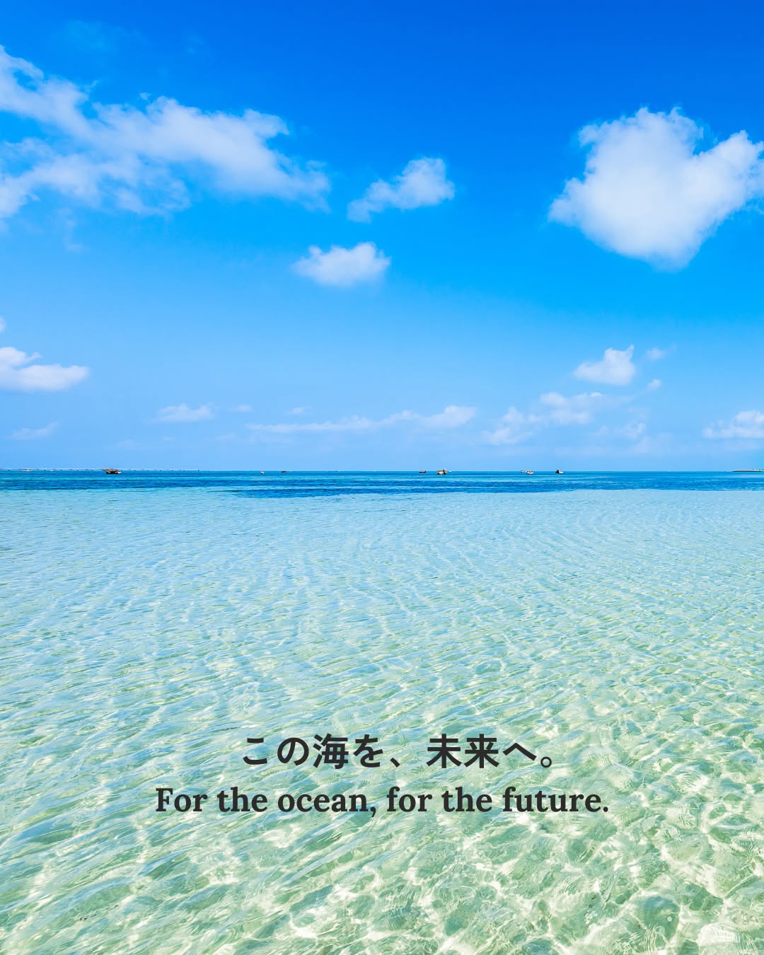 青く広がる海の中には、
数えきれないほどの命が生きています。
魚、海草、ウミガメ、そしてジュゴン。
それぞれがつながり合い、
この海の世界をつくっています。
私たち人間も、そのつながりの一つ。
私たちにできることは、
そのつながりをまもり、未来へ渡していくこと。
この海を、未来へ。
いのちがめぐる海が、これからも続きますように。
Beneath the endless blue,
countless lives are thriving.
Fish, seagrass, sea turtles — and the gentle dugong.
Each connected, each playing a part
in the living story of the sea.
We humans are part of that connection, too.
Our role is to protect that bond
and pass it on to the future.
For the ocean, for the future —
may the sea of life continue to flow.
#宮古島 #エコツアー #生物多様性 #ジュゴン #生物多様性保全 #環境問題
#miyakojima #miyakoisland #dugong #biodiversity #ecotourism #ecotour