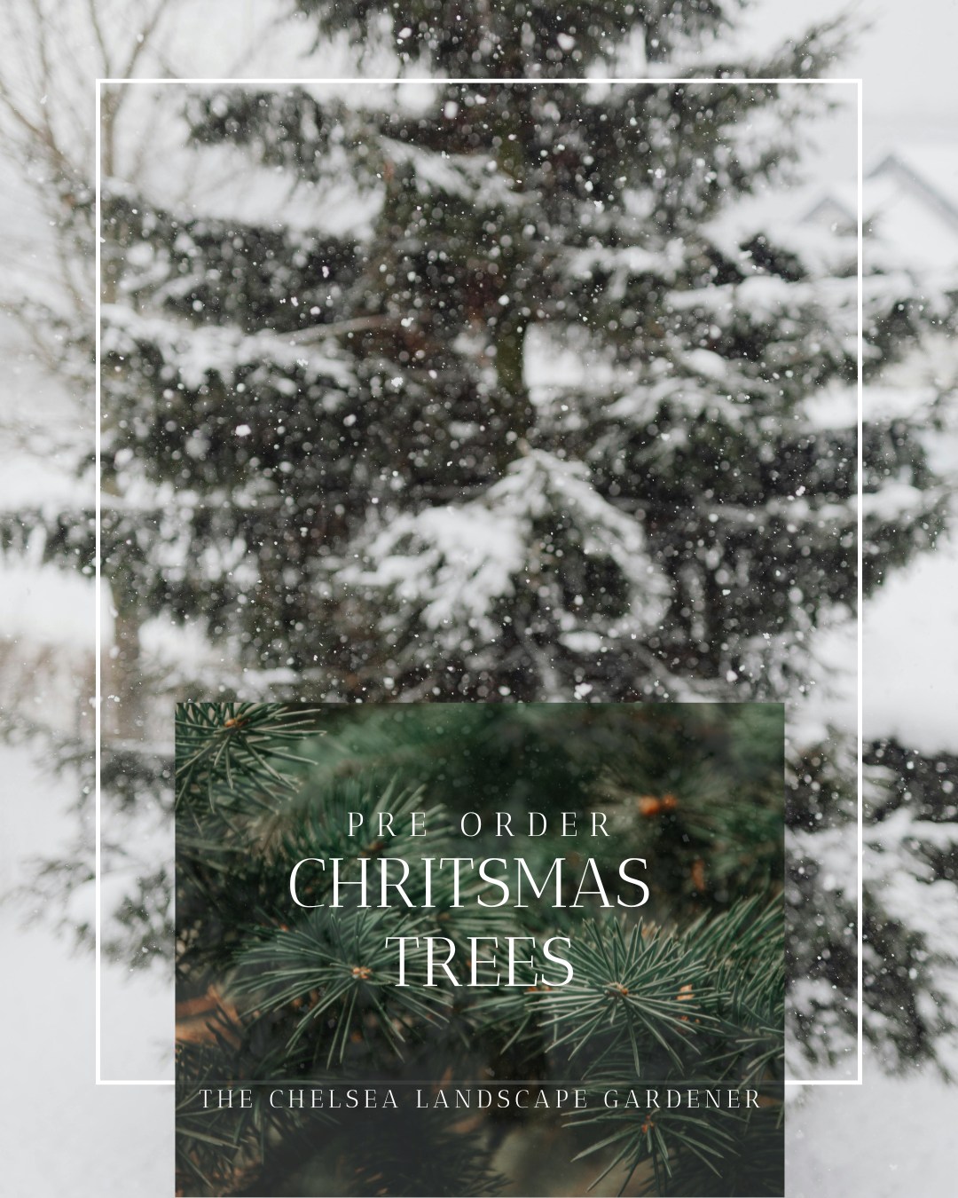 THE HOLIDAY SEASON IS UPON US! 🎄
As the days grow cooler and the holiday spirit gently stirs, we’re excited to give you first dibs. We at The Chelsea Landscape Gardener are now accepting pre-orders for high-quality Christmas trees, giving you peace of mind, a beautiful centerpiece for your season, and a chance to avoid the late-season scramble.
TO MAKE IT EXTRA SPECIAL...
Here’s a limited-time offer for our loyal clients:
* 10% early-bird discount if you order by 17th November
* Loyalty bonus: Refer a neighbor or friend and both of you get 20 pounds voucher to spend on our landscaping services
➡ Swipe for some Christmas tree inspo
📩PLACE YOUR ORDER NOW! landscaping@chelseagardener.com www.thechelsealandscapegardener.com
.
.
.
.
.
#ChelseaGardenDesign #LuxuryGardens #Chritsmas #happyholidays #happyseason #christmastree #christmastreeinspiration #LondonLandscaping #TheChelseaLandscapeGardener #BespokeGardens #GardenTransformation #ElegantOutdoors #BritishGardenStyle #SW7Gardens #GardenGoals #london #chelsea #putney #clapham #claphamcommon #belgraviagardens #londongardens #putneygarden
