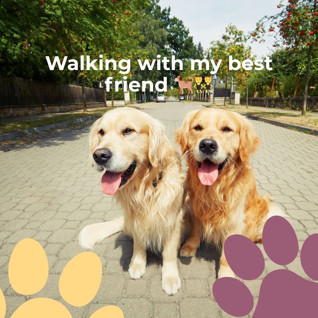 Friendship + fitness 🐾✨. Our small group walks balance fun and structure — perfect for local pups.
#GroupDogWalks #DogWalkingMA #WinchesterDogs #WinchesterMA #NorthOfBoston #BostonDogs #MassachusettsDogs #PetCareWinchester #NorthShorePets #DogLoversMA #HealthyHappyDogs #SmallDogCare #HappyPups #PetParentsMA #WinchesterCommunity #LocalPetCare #PetServicesMA #DogMomLife #DogDadLife #DogsOfInstagram