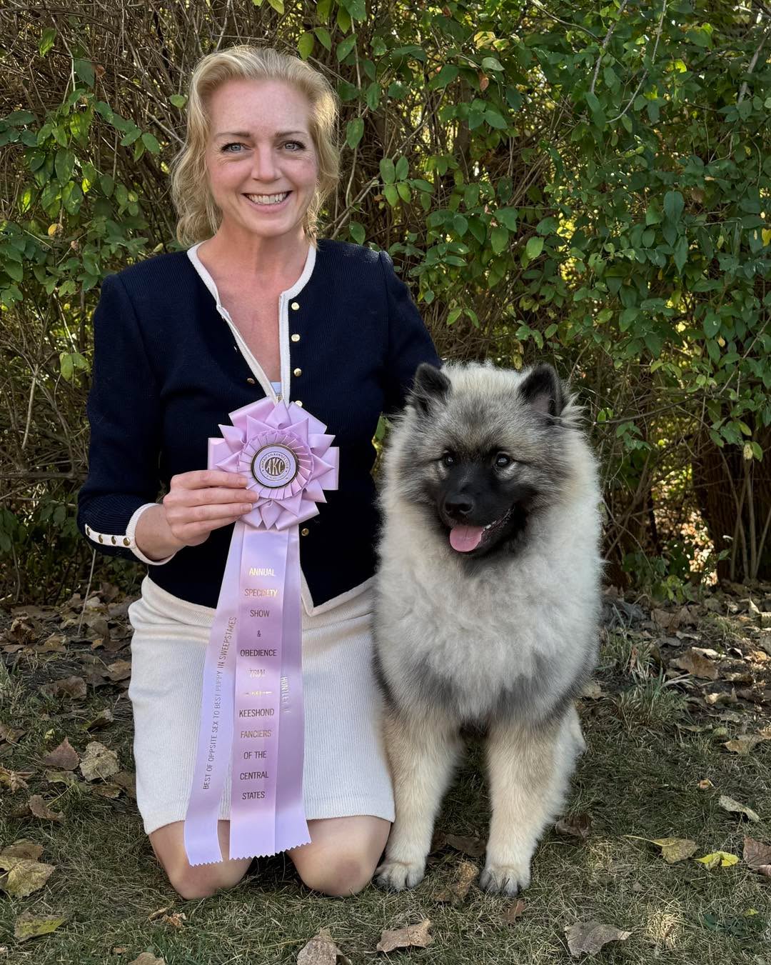 Today is a day of brags!
At the KFCS specialty today, Argo gets to add some fancy letters in front of his name by winning Best Opposite in Puppy Sweeps!
He is now BOSSw Peregrine’s Norfolk Enchants.
Amex had a lot of fun with Nichole coming second in her class for sweeps, and she won RWB with me!
Amex is Peregrine’s Kiss My Assets.
Dillon, GCh Peregrine Green and Gold Trifecta won Select Dog with Pam, a great achievement for his first time showing in the breed ring at a specialty!
And, not to be outdone, a few states away Vesper, Peregrine’s Unbridled Joy, had so much fun with her family and can now add BCAT to her name!
#keeshond #showkeeshond #peregrinekeeshond #keeshondsofinstagram #dogshows #showdogsoninstagram #fastcatdog #FastCat