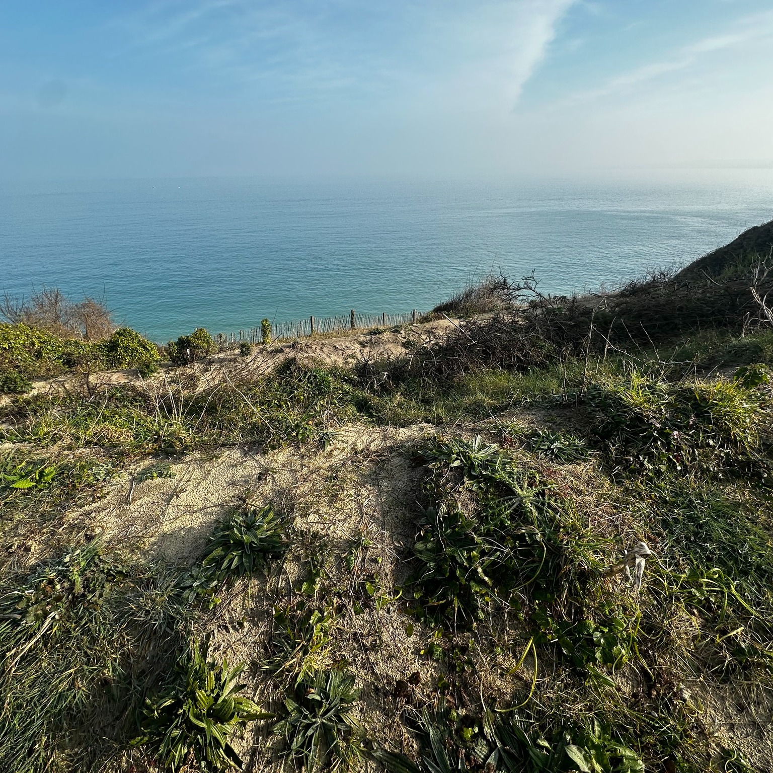 Can you guess where we are? We are so excited to be starting on site here very soon. A huge amount of work from the design team has been required in order to work adjacent to a very picturesque railway line... and a significant amount of piling is going to follow. But my, what a view.
We're delighted to be providing the Contract Administration and Quantity Surveying for the project. @cornwallplanninglimited have done an excellent job at achieving a revised scheme on appeal, MBA Consulting have detailed the structural requirements, and all is now ready for @mv_developments to work their magic.
#cornwall #cornwallhomes #cornwallliving #architecture #modernarchitecture #construction #quantitysurveying #contractadministration #newbuild #dreamhome #housebuild #houseproject #modernhome #coastalproperties #seasidehomes #coastalliving #seaview