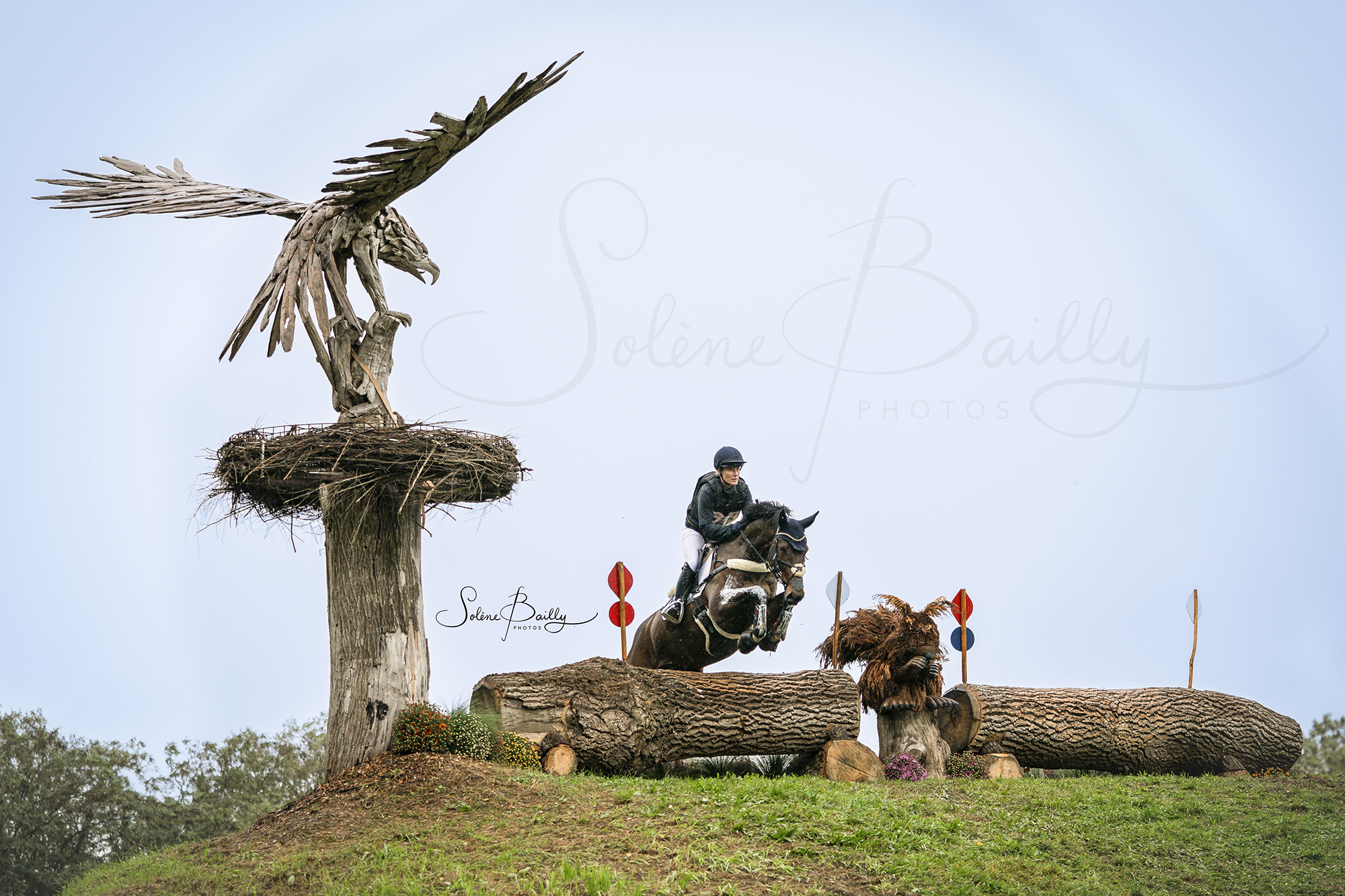 Félicitations @laradeliedekerke et Kiarado d'Arville pour votre victoire @militaryboekelo 👏👏
.
Petit souvenir du @mondialdulion 2023😉
.
#militaryboekelo #eventing #horses_of_instagram