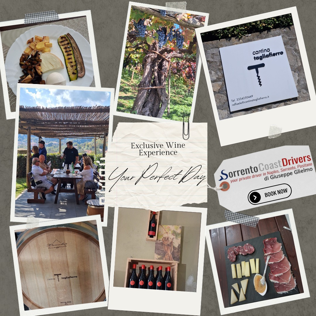Your perfect day among vineyards, barrels, and coastal views. Taste handcrafted wines, savour a gourmet charcuterie spread, and explore this winery with a private driver from Sorrento Coast Drivers. Book your exclusive Wine Experience now at www.sorrentocoastdrivers.com and turn a day into a story youโll keep coming back to.
#Sorrento #WineTour #cantinatagliafierro #WineTasting #AmalfiCoast #FoodAndWine #GourmetExperience #PrivateDriver #SorrentoCoastDrivers #TravelItaly