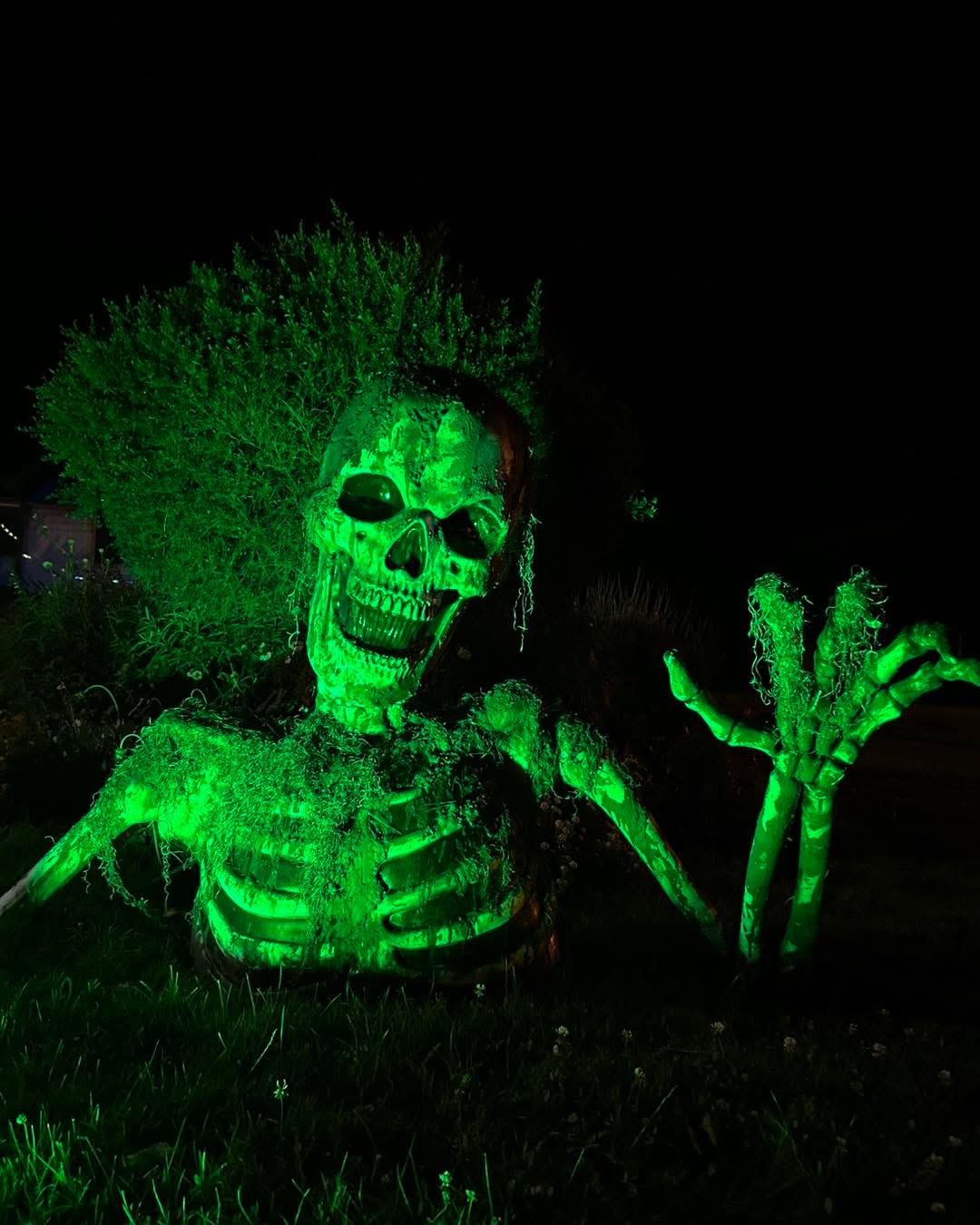 OPEN TONIGHT!!
See the Scaregrounds in action October 17th-19th, 24th-26th, and 30th-31st 🪲
Don’t miss Humboldt’s premiere haunted attraction - visit us this evening at the Humboldt County Fairgrounds for an immersive and terrifying Halloween experience 🐍
#localbusiness #frightdale #scaregrounds #visitferndale #ferndalecalifornia #humboldtcounty #visithumboldt #hauntlife #hauntedmaze #humboldt #ferndalefrightfullyfun #NorCalTravel #humboldtcountyfair #screamatorium #shoplocal #hauntedhouse #visitnorcal #griffinloch