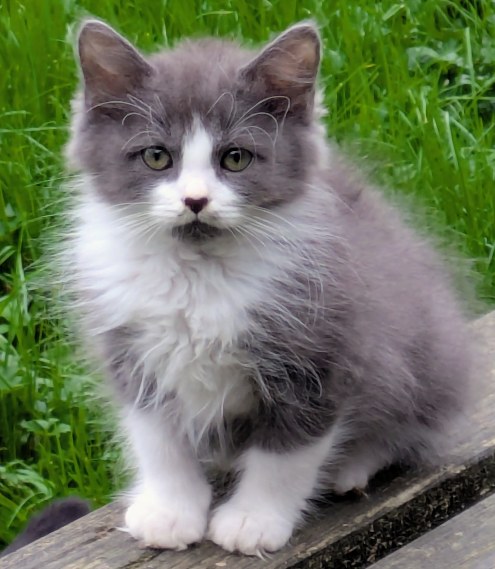 Herbert what an absolute stunner