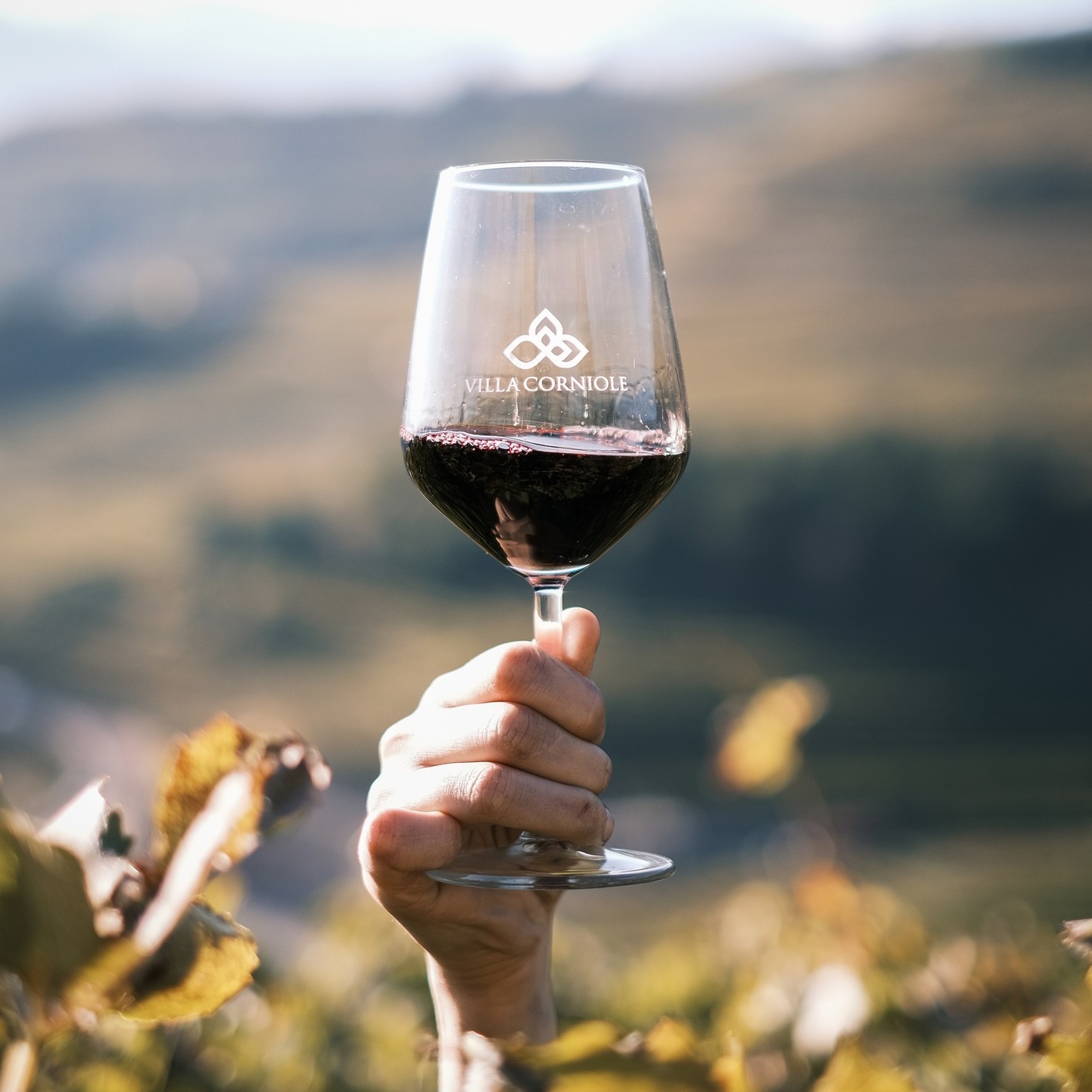 Tra i colori autunnali della #montagna inizia una nuova fase, quella in cui i primi frutti della nuova annata prendono forma in #cantina. Ogni vino nasce da un percorso di impegno, precisione e rispetto per il territorio. Ora il lavoro continua, silenzioso e costante, per esprimere al meglio l’essenza della nostra viticoltura eroica.
#VillaCorniole #ValdiCembra #ViniDiMontagna #ViticolturaEroica #NuovaAnnata