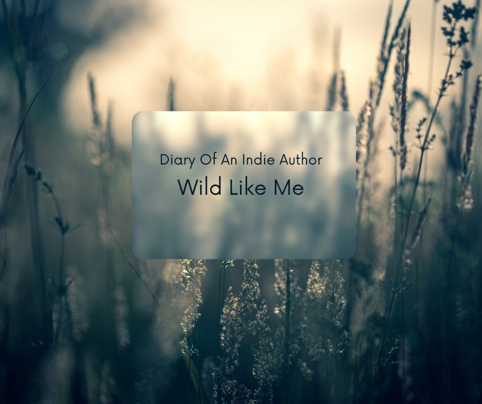 With each breath that I draw
I draw in the wilderness
Basking in the rays of the sun
Talking with the winds
Breathing through
The leaves on the Trees
My feet caked in dirt
Grounded in my roots
For the woman in me is wild
The daughter I am is Feral
I run through the trees on a moonlight night
I Bathe in the rivers and streams
I do not fear the wolf or the bear
For they are mine
Wild like my soul
#diaryofanindieauthor #writingblog #indieauthor #tellingstories #WritingBlog #poetry #writinginspiration #WildLikeMe