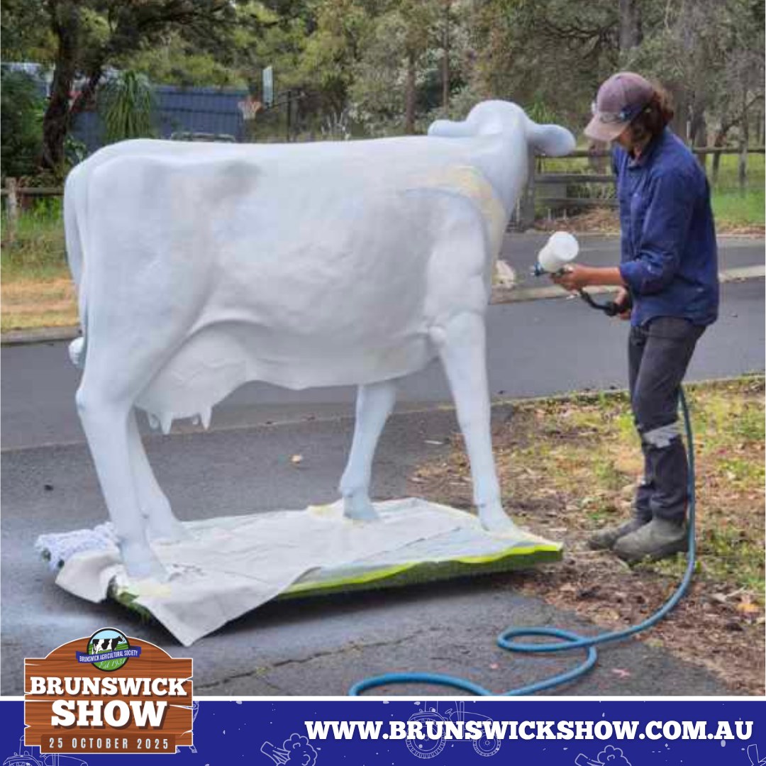 ๐โจ Clarabelle is prepped, primed, and ready for her next moment!
This year, her auction at 2:00pm on the Main Stage will support our 2025 Charity Partner โ Murdoch Universityโs Health Futures Institute, funding groundbreaking Healthy Ageing research led by Professor Hamid Sohrabi. ๐ง ๐
The research, known as The 80+ Study, is uncovering why some Australians over 80 maintain strong cognitive health โ paving the way for dementia prevention and a healthier future for us all.
As BAS President David Power shared, โAlmost every family has been touched in some way by dementia. By supporting this research, the Brunswick Show is helping shine a light on work that could change the future for older Australians.โ ๐ผ
So when you bid on Clarabelle this year, youโre not just taking home a piece of Show history โ youโre helping build a brighter tomorrow. ๐
๐ Learn more and plan your day at www.brunswickshow.com.au
Times correct at time of publication.