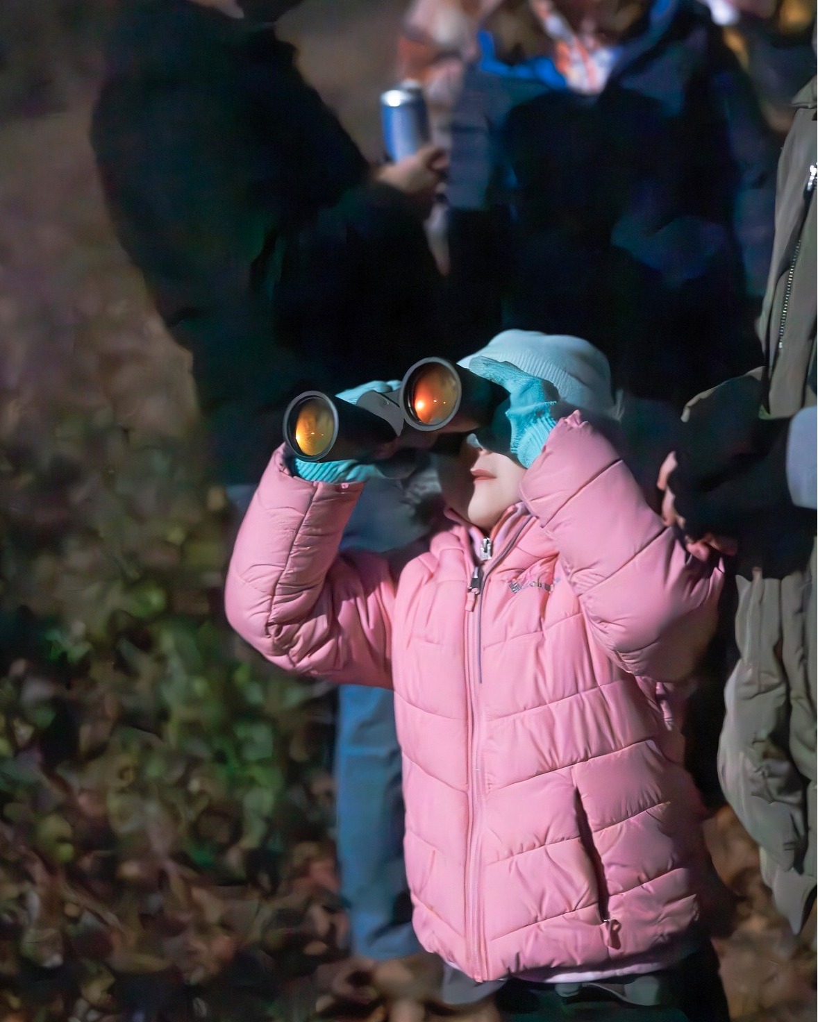 Join us on Wednesday, 11/5 at 7pm for a viewing of the full Frost Moon as we hike through the lesser-known southern section of South Branch Preserve.
This event is a free, family-friendly 1.5 mile walk on a flat, grassy path, with a few small stream crossings over boards that are easy for most. We will stroll out to a moonlit meadow, where we'll hand out star charts and stargaze over tea and cookies, looking for planets and our favorite constellations. RSVP at www.tlc-nj.org (link in bio).