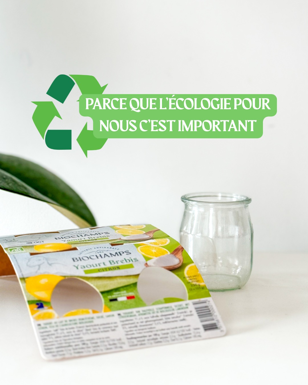 Chaque pot de yaourt Biochamps est un geste pour la planète.
Emballages recyclables, production locale, respect de l’environnement.🌱♻️
#EcoResponsable #Biochamps #AgricultureDurable
