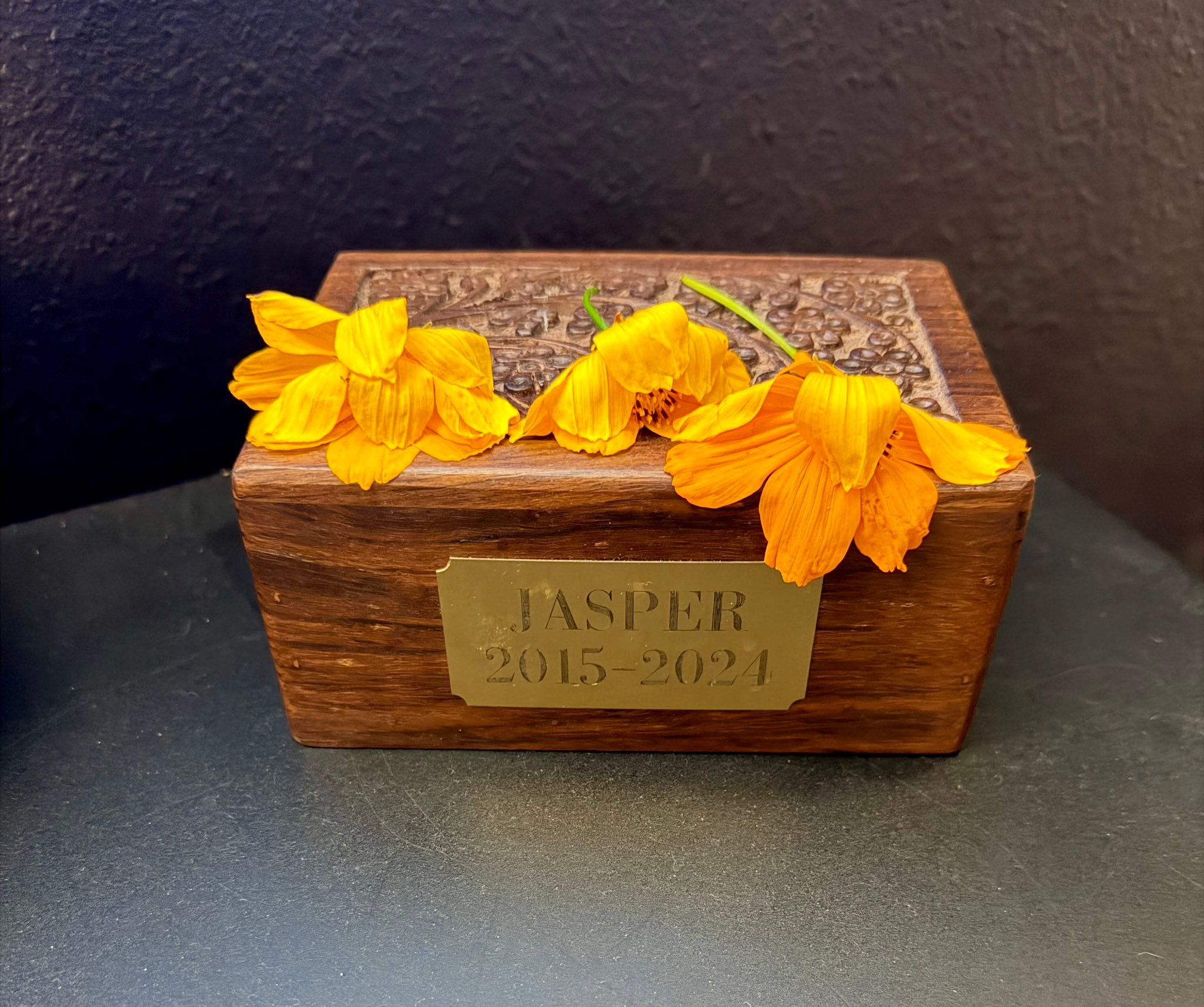 Earlier this summer we planted some wildflowers in the back yard. They’ve grown to be huge. Bella and the Booger were playing out back and she asked if she could pick some. A few hours later I find this… she said she just wanted to do something nice for Jasper because she missed him. And I shouldn’t be chopping onions this late at night…