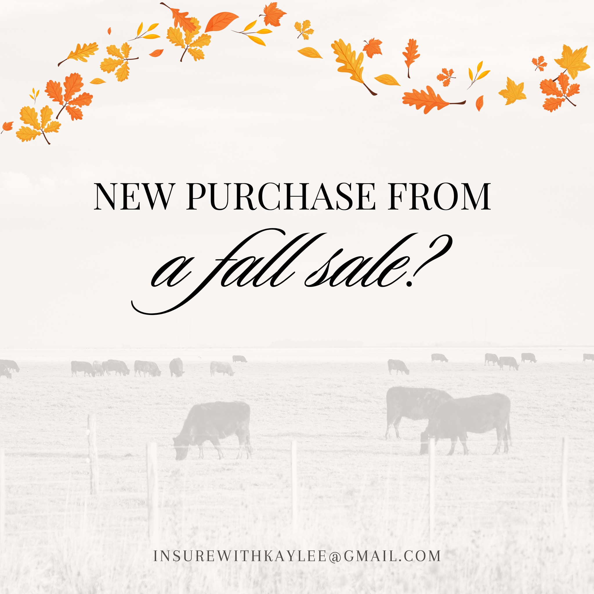 Got a new purchase from a fall sale? Send me the proof of purchase and vet info — I’ll get your coverage started today.
Insurewithkaylee@gmail.com
https://www.kayleeimkeequineagent.com/