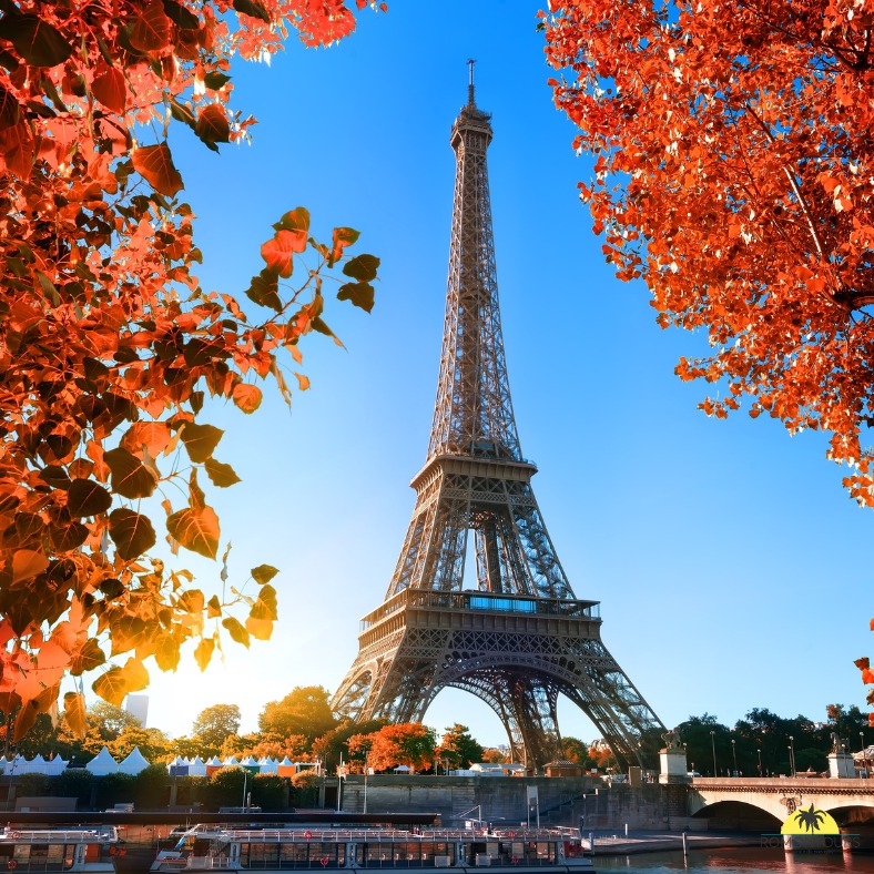 𝐄𝐭 𝐬𝐢 𝐭𝐨𝐧 𝐩𝐫𝐨𝐜𝐡𝐚𝐢𝐧 𝐰𝐞𝐞𝐤-𝐞𝐧𝐝 𝐬𝐞 𝐩𝐚𝐬𝐬𝐚𝐢𝐭 𝐚̀ 𝐏𝐚𝐫𝐢𝐬 ?
En seulement quelques heures de train direct depuis la Suisse, rejoins la Ville Lumière et plonge dans son atmosphère unique. Entre les balades le long de la Seine, les terrasses animées, les musées incontournables et les quartiers pleins de charme comme Montmartre ou le Marais, Paris séduit à chaque visite.
Que tu sois amateur de culture, de gastronomie ou simplement en quête d’une escapade romantique, Paris reste la destination idéale pour un week-end inoubliable.
#Paris #CityTrip #VoyageEnTrain #EscapadeEnEurope #VoyageSurMesure #VilleLumière #WeekEndParisien