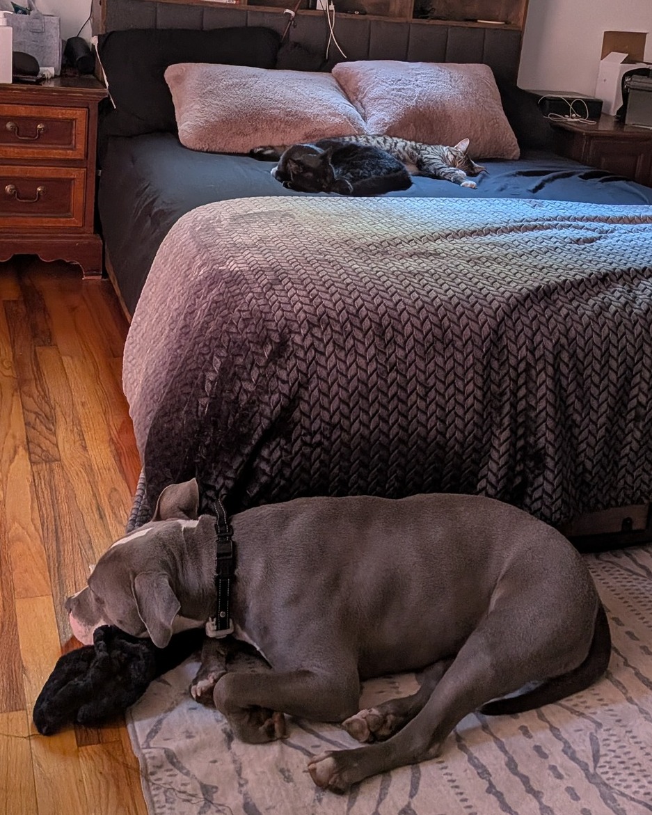 Peaceful Saturday vibes. 💖
This is the current view to the side of my desk.