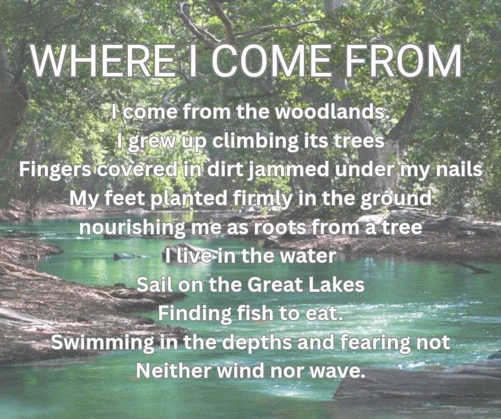 #poetry #diaryofanindieauthor #writingblog #writinginspiration #thewritingprocess #writing #writings