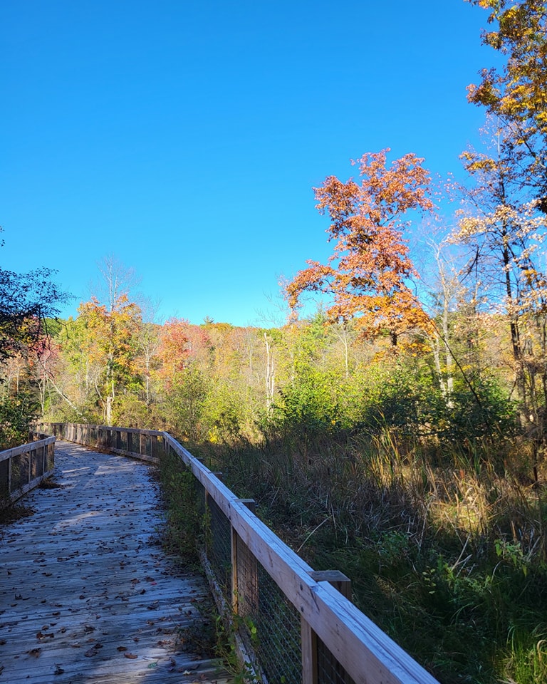 "Its been a long time since I've been back here." I said, taking in the scenery around me.
"How does it feel?"
"Like I can breathe again"
#nature #writer #writingBlog #selfcare #mentalhealthwalk #DiaryOfAnIndieAuthor