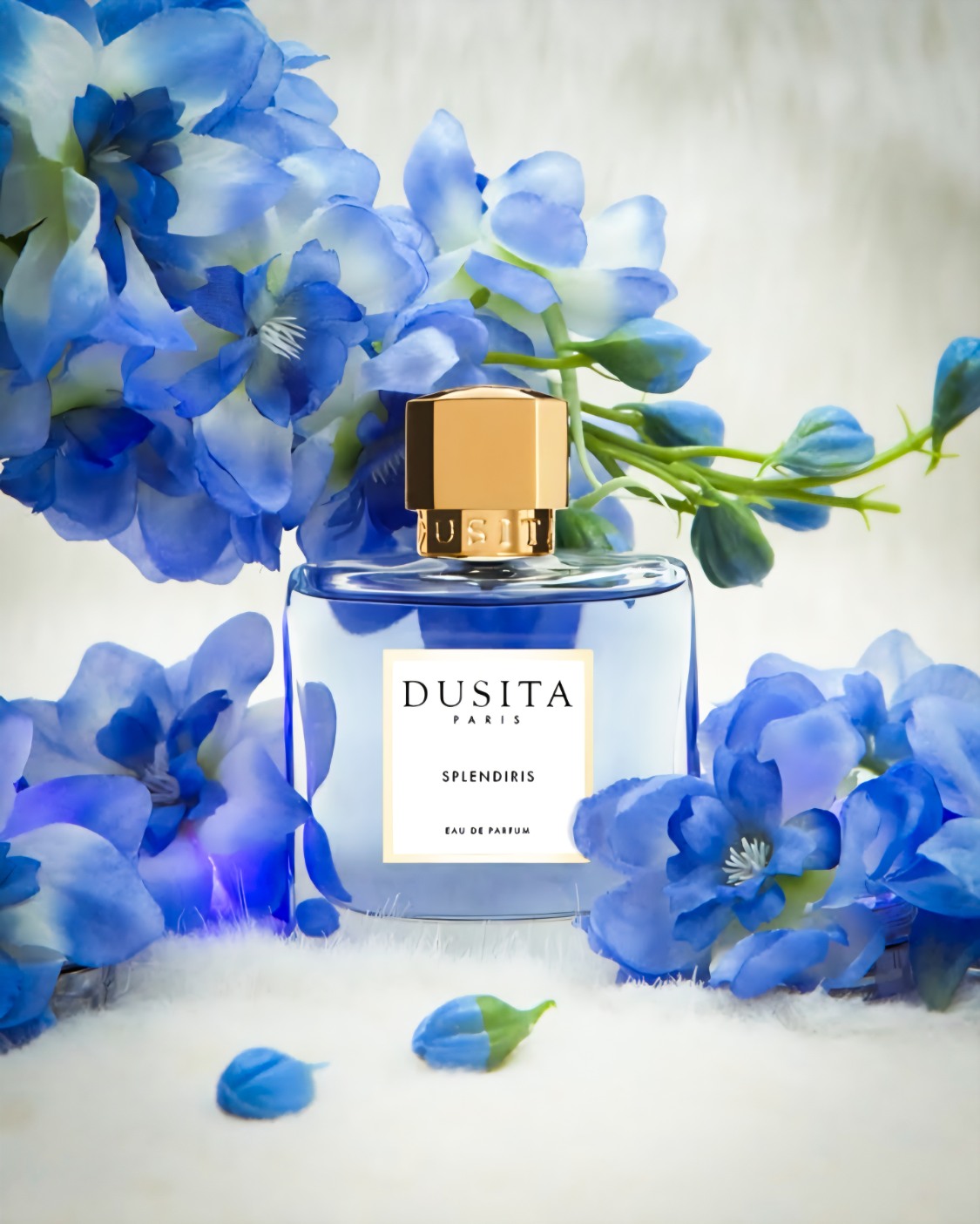 Un cuore di iris che racchiude una vita intera: đđ©đ„đđ§đđąđ«đąđŹ, creazione della maison Parfums Dusita, Ăš una poesia olfattiva dedicata alla purezza dellâiris. Al centro di questa fragranza dimora una passione in cui pulsa lâintera vita, circondata da strati infiniti di tenerezza.
Le note di testa miscelano arancia sanguigna, mandarino e foglia di violetta, donando un avvio vivace e intrigante. Il cuore prezioso svela burro dâiris, rosa di Maggio e semi di carota, che sfumano delicatamente in un fondo vellutato di legno di cedro, vetiver e vaniglia.
Ogni spruzzo Ăš come un abbraccio poetico, una rivelazione di eleganza e introspezione.
Lasciati avvolgere dallâincanto di Splendiris. Rivolgiti alle boutique partner di Omnia Luxury Trade e trova la tua poesia personale.
đđđđđ đđđđđđ đđđđđ - đđȘđŽđ”đłđȘđŁđ¶đ”đ°đł đąđŻđ„ đđ„đ·đȘđŽđ°đł
đđȘđ€đ©đŠ đđąđłđ§đ¶đź - đđŹđȘđŻ đ€đąđłđŠ - đđ°đźđŠ đ§đłđąđšđłđąđŻđ€đŠđŽ - đđłđąđŻđ„ đđčđ±đŠđłđȘđŠđŻđ€đŠ - đđ¶đŽđ”đ°đźđȘđŽđŠđ„ đ±đłđ°đ„đ¶đ€đ”đŽ
.
.
.
#ParfumsDusita #Splendiris #IrisFragrance #NichePerfume #OmniaLuxuryTrade