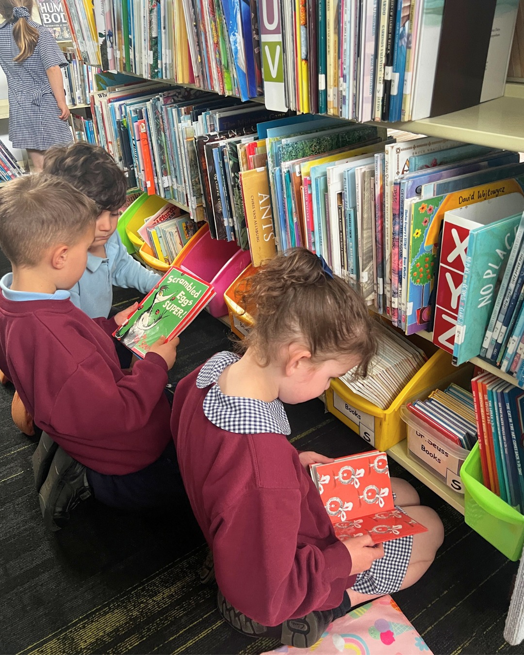 Our Prep students loved visiting our newly located library this week! They had so much fun exploring the space, discovering new stories, and borrowing their books for the week. So many happy faces and excited readers! 📚✨
#SJB2025 #stjohnthebaptistprimaryferntreegully #melbournecatholicschools #HopeFilledCommunity #enrichedcommunities #lightingtheirpath #catholiceducation