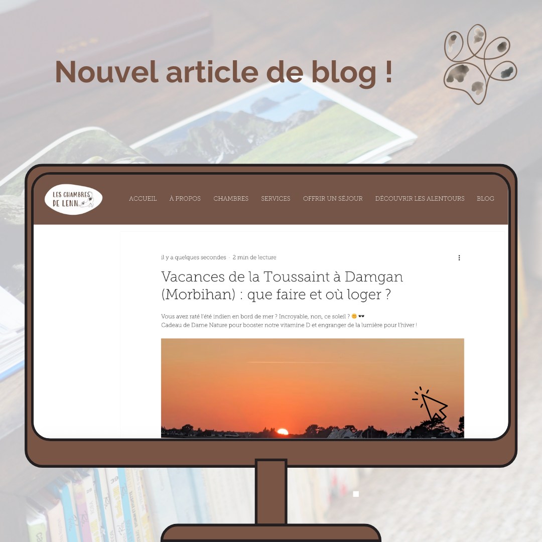 Découvrez notre dernier article de blog !
Aujourd'hui on vous livre nos meilleurs plans pour vos vacances de la Toussaint en région morbihanaise...☕️🍿🐚
Lien de l'article 👉🏼 (lien en bio)
Découvrez un nouvel article chaque mois sur notre site web 😺
➡️ Pour réserver un séjour 📩 : leschambresdelenn@gmail.com ou par téléphone 📞 : 06 84 83 28 26
#bretagne #damgan #morbihan #chambresdhotes #automne #toussaint #vacances