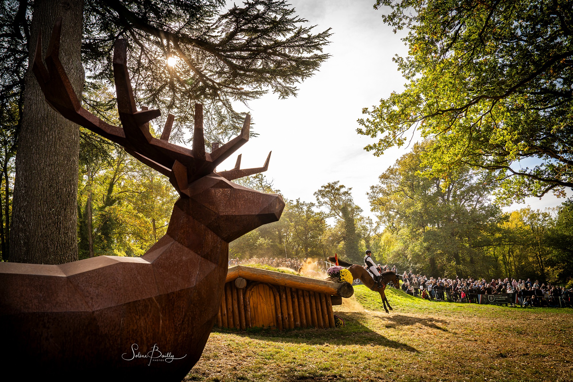 #mondialdulion #mondialdulion2025
#eventinglife #eventing