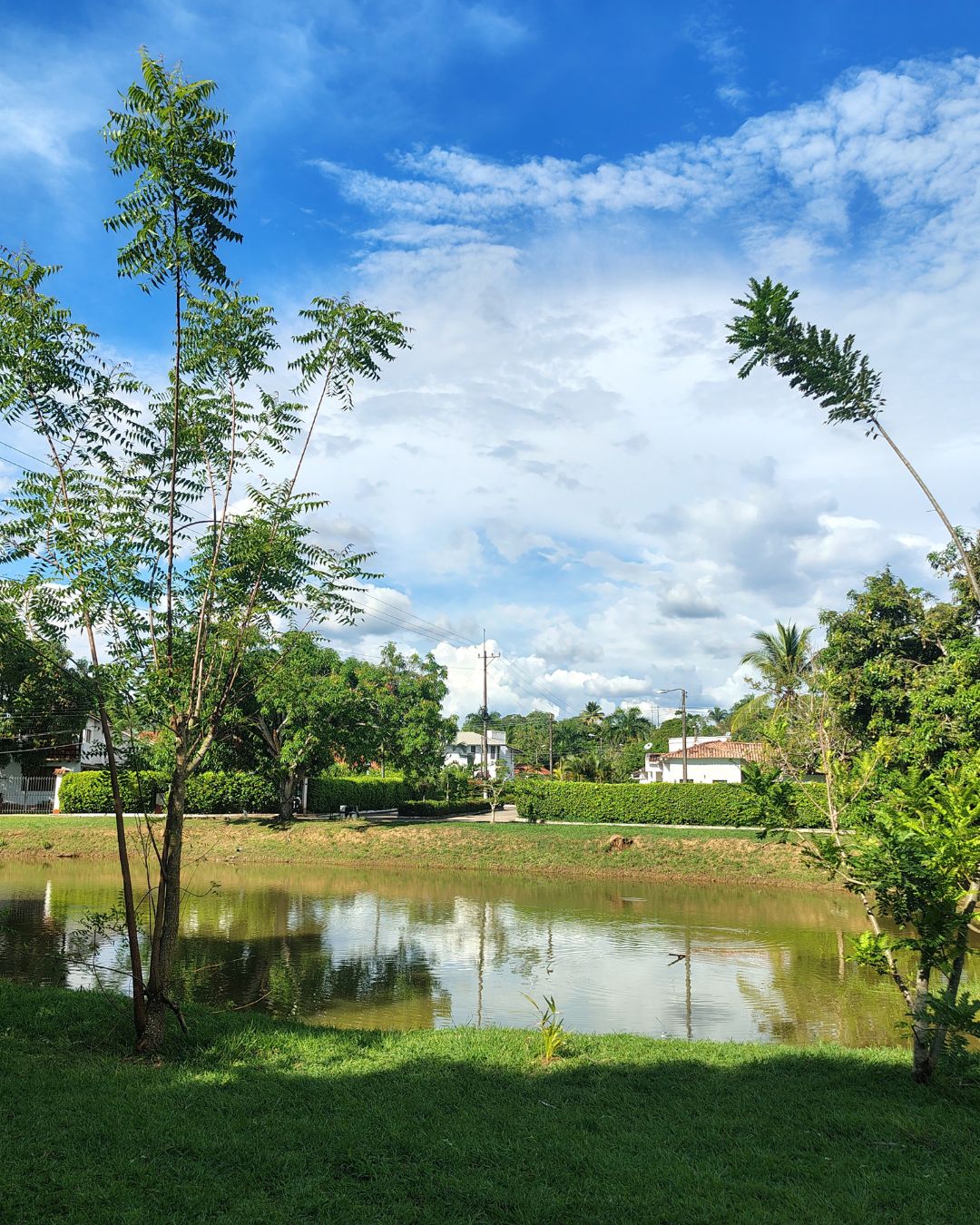 🏡 Silencio, sol y verde por todos lados 🌿
Así se vive la temporada baja en Casa Muner.
Trae: repelente, protector solar… y muchas ganas de desconectarte 💛
📍Reserva en: www.casa.muner.com.co
#CasaMuner #Melgar #Tolima #Vacaciones #Naturaleza