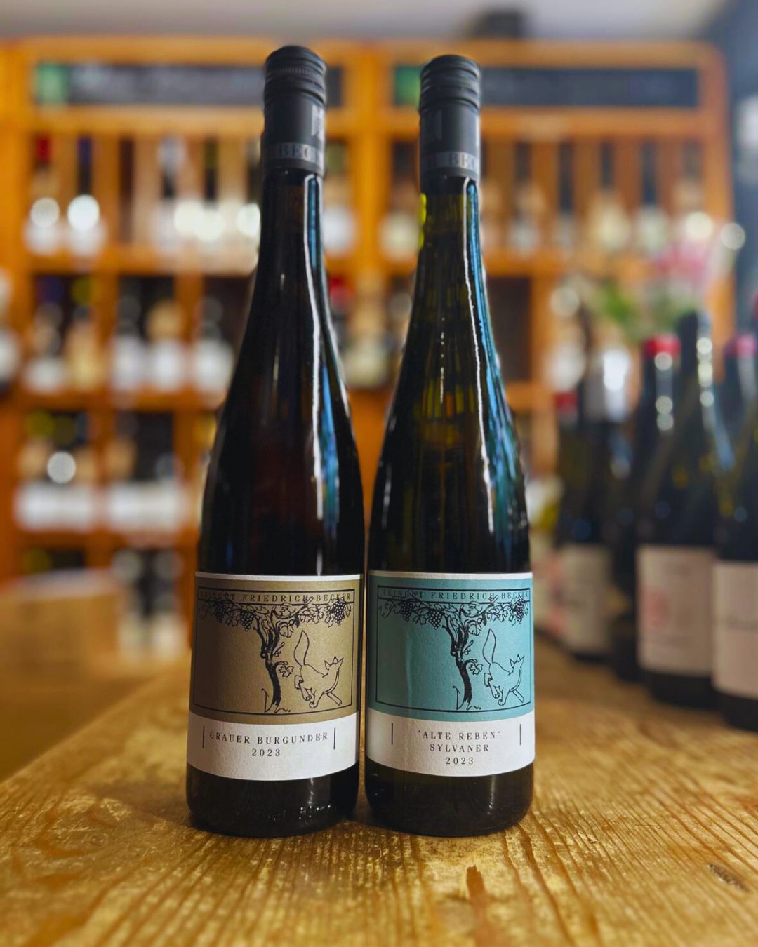 Tenemos novedades de la bodega familiar Weingut Friedrich Becker, situada en chweigen-Rechtenbach, en el corazón del Pfalz 🇩🇪, Alemania
Reconocida por elaborar vinos elegantes, precisos y fieles a su terroir, donde predominan los suelos calcáreos y margosos que aportan una marcada mineralidad.
El Grauer Burgunder 2023 (Pinot Gris) destaca por su frescura y equilibrio, con notas de pomelo, almendra y fruta blanca, un toque especiado y un final seco y elegante que lo convierte en un blanco versátil y gastronómico. Por su parte, el Silvaner Alte Reben 2023, procedente de viñas viejas, ofrece mayor profundidad y carácter: aromas de manzana y cítricos, hierbas finas y una textura cremosa que refleja la riqueza del suelo y la madurez de las cepas.
🍷 @weingutfriedrichbecker
Dos vinos que expresan a la perfección la filosofía de Becker, y que llegan como novedades, ideales para descubrir una cara diferente y sofisticada del vino blanco alemán.