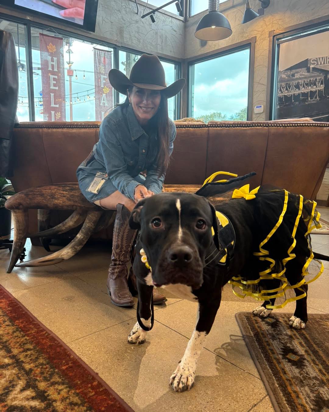 We had an absolutely amazing afternoon down at the @fortworthstockyards ! We’re happy to report that eight lucky dogs from Fort Worth Animal Care & Control found their forever homes, including sweet Layla who’s going to be the new mascot for @oldgringostore1 ! HUGE thanks to @fortworthherd and @visitfortworth for teaming up with us! We hope to be back soon!
And thank you to all the shelter volunteers, fosters, and staff members for making today a huge success!