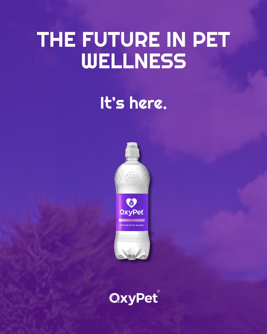 The future in pet wellness.
It’s here.
The next chapter in pet wellness.
new bottle , same mission, more oxygen, more life
🐾 Give it a try for 90 days & receive your FREE e-book worth £9.99 →
https://www.oxypet.co.uk/product-page/oxypet-oxygen-water-subscription
#HealthyDogs #DogWellness #PetParents #DogsOfInstagram #OxyPet #PetCommunity #Chihuahuas #DogHealth #FlatFacedBreeds #PetWellness #HealthyDog #DogCareTips #OxyPet #PetEducation #MasaruEmoto #Dogs #FrenchBulldogs #BoxerDogs #Pugs #EnglishBulldogs #BrachycephalicDogs