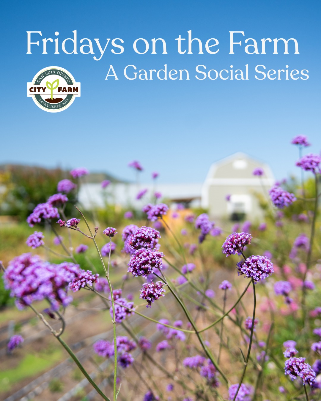 Adults can come play on the farm, too! Register now for our Garden Social Series and spend your Friday mornings with us in November๐... (A great way to unwind before a busy holiday season ๐)
Each week features a new hands-on activity set amidst the beauty of our regenerative farm, and every session includes tea, coffee, and farm-fresh snack. Sign up for one session or join us for all three!
๐ Nov 7, 9:30-11:30 am โ Edible Herbs & Flowers Tour
๐จ Nov 14, 9:30-11:30 am โ Nature Journaling
๐ Nov 21, 9:30-11:30 am โ Holiday Crafts on the Farm
Spaces are limited, register at the link in our bio before November 3rd.
Email info@cityfarmslo.org with questions, or shoot us a message here!
#regenerativefarming #discoverslo #slo #805living #CityFarmSLO