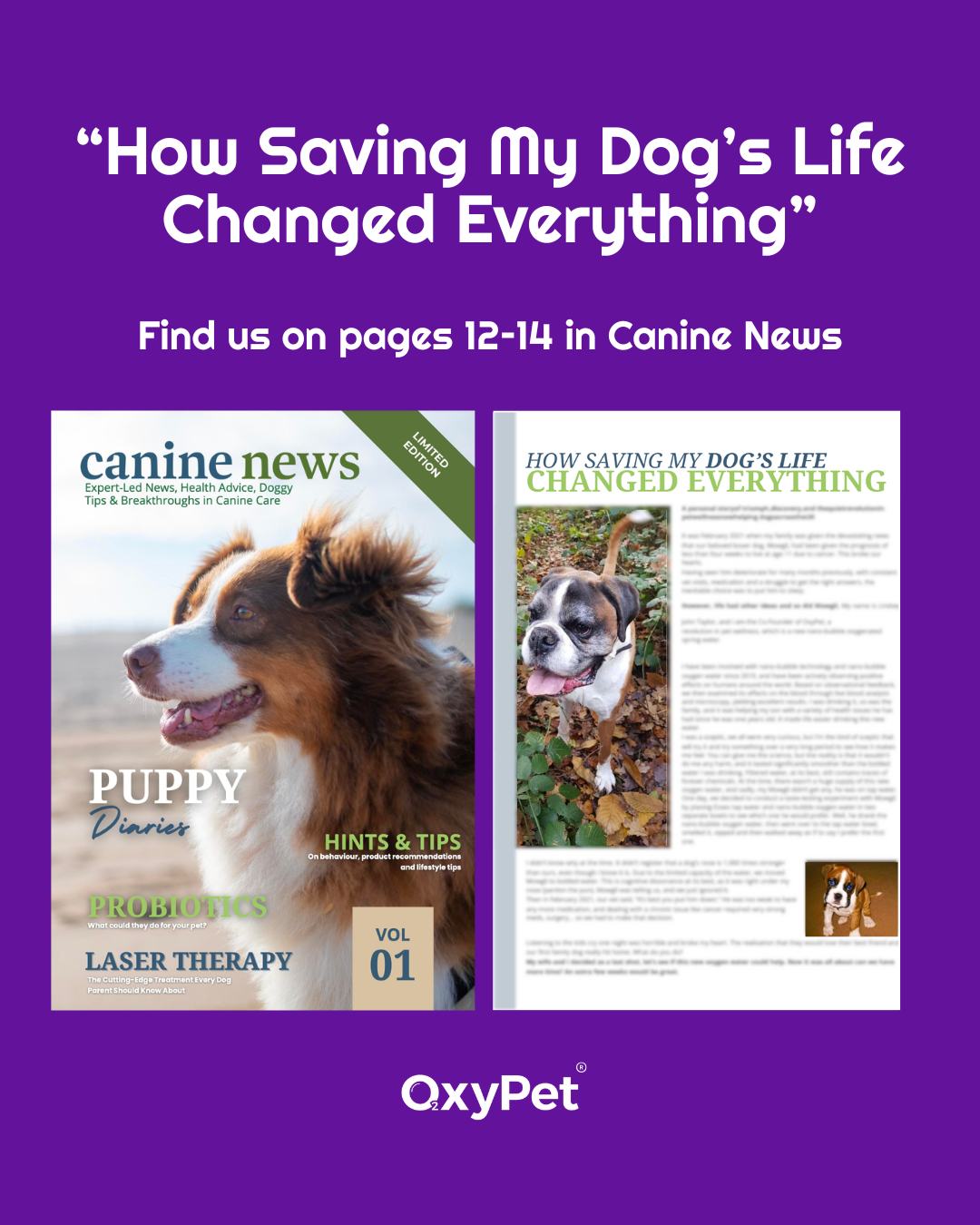 The article “How Saving My Dog’s Life Changed Everything” tells the story of our Co-Founder Lindsey John Taylor and how his beloved Boxer, Mowgli, inspired the creation of OxyPet. ❤️
You can find OxyPet on pages 12-14 in the first edition of @caninenewsuk.
* Sign up for free to read it here: caninenews.org
Don't forget to subscribe to the OxyPet Protocol:
https://www.oxypet.co.uk/product-page/oxypet-oxygen-water-subscription
#OxyPet #CanineNews #OxyPetProtocol #PetWellness #DogHealth #FlatFacedBreeds #HealthyDogs #PetCommunity #MoreOxygenMoreLife #BrachycephalicDogs