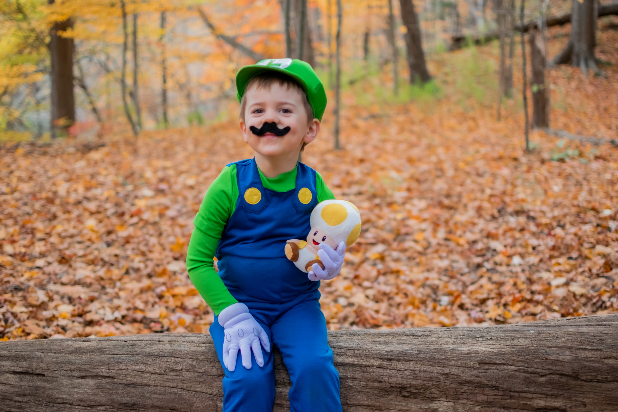 🎃 Halloween through the years! 👻
Watching little ones grow and seeing the magic of each costume stage never gets old...from the tiny pumpkins to the superheroes and everything in between.
These moments are what I love most about photography: capturing the joy, personality, and memories that we’ll look back on year after year. ✨
Here’s a peek at Xavier’s past 4 Halloweens, a reminder of just how quickly time flies (and how fun it is to freeze it for a moment). 💛
#SweetAndSauerStudios #HalloweenPhotography #FamilyPhotos #CapturingMemories #LifestylePhotography #HalloweenThroughTheYears