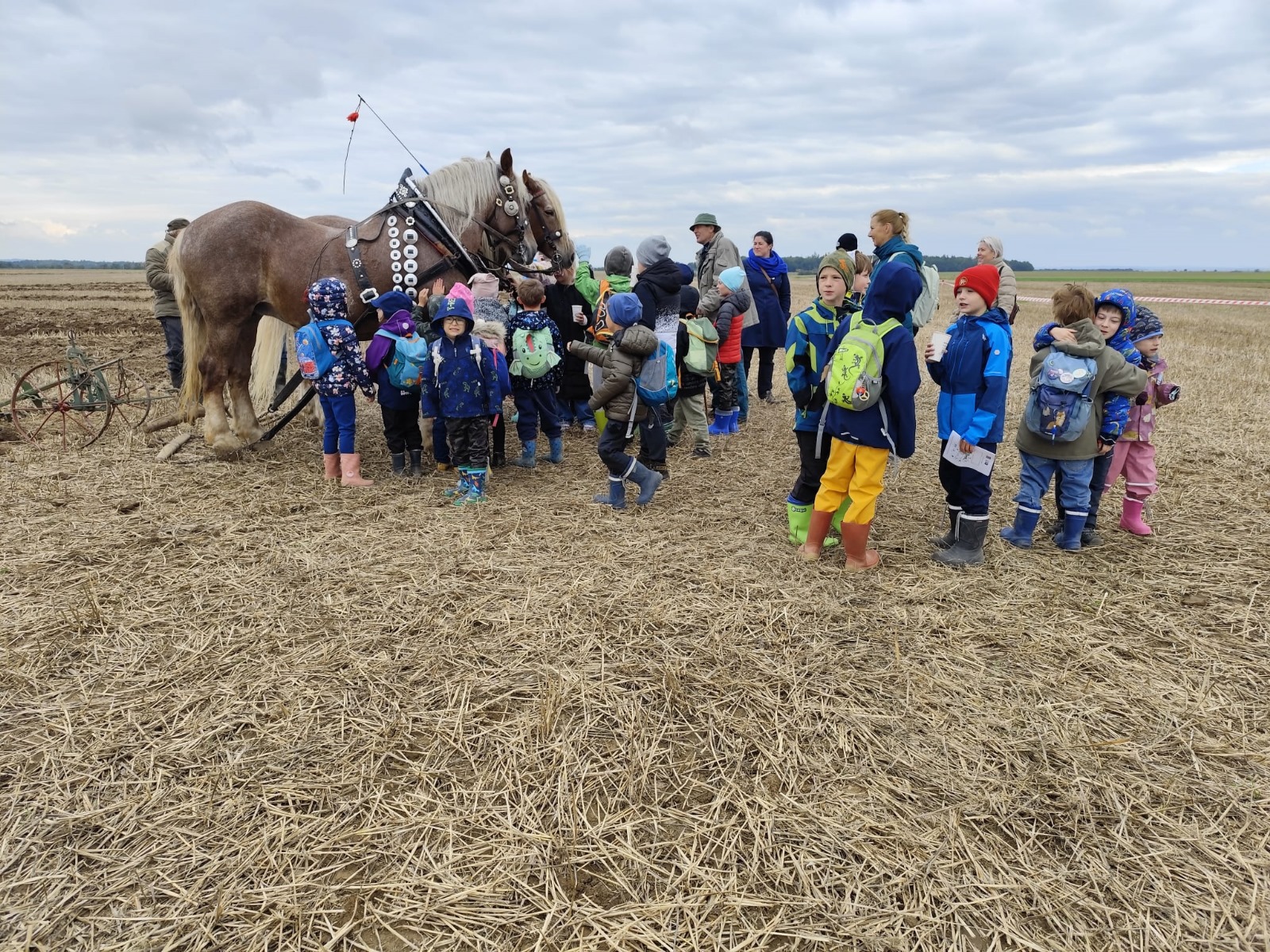 🚜 Soutěž v orbě v Mašovicích! 🌾
Naši mladší žáci se vydali poznat svět zemědělství zblízka – a byl to den plný zážitků! 👩🌾
Viděli orbu koněm i traktorem, zkusili si soutěže a hry o práci na poli a obdivovali ukázku kování nářadí od skutečných kovářů 🔥🐴
Den byl nejen poučný, ale i plný radosti, přátelství a obdivu k práci, která dává chlebu jeho začátek 🍞🤝
Děkujeme SOŠ Znojmo za pozvání a krásnou organizaci akce! 💚
#waldorfskaskola #znojmo #zemedelstvi #zazitkoveuceni #zivotnapoli #spolecnezazivame #orbaznojmo #kovarstvi