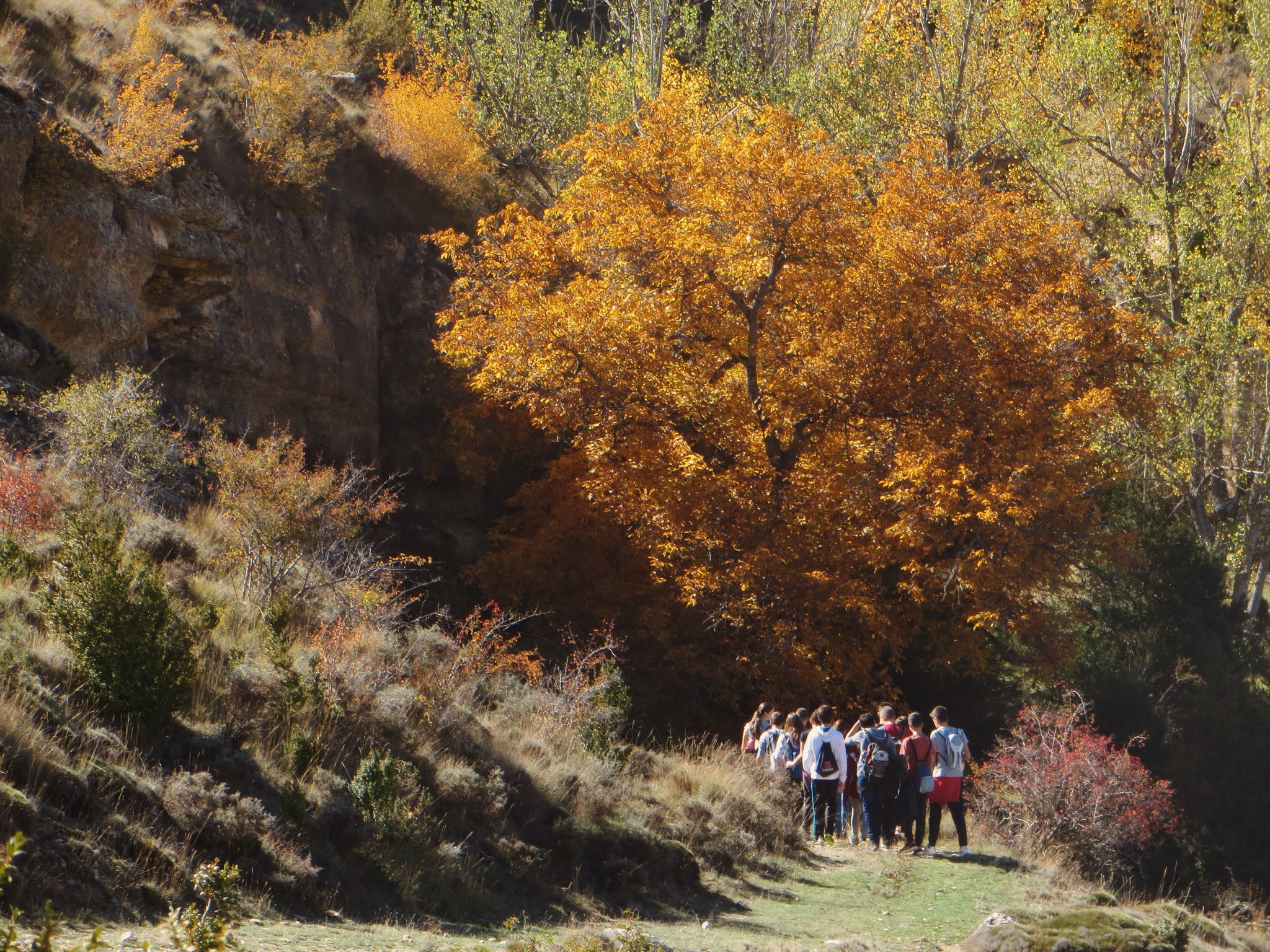 La tardor arriba a Vilafranca amb una paleta de colors que ho transforma tot 🍁
Els boscos s’omplin de tonalitats daurades, els camins fan olor de terra humida i l’aire es torna més fresc i tranquil.
A l’Alberg La Parreta és temps de rutes, de calma i de gaudir de la natura en el seu millor moment.
Vine a viure la tardor amb nosaltres 🍂
//
El otoño llega a Vilafranca con una paleta de colores que lo transforma todo 🍁
Los bosques se llenan de tonalidades doradas, los caminos huelen a tierra húmeda y el aire se vuelve más fresco y tranquilo.
En el Albergue La Parreta es tiempo de rutas, de calma y de disfrutar de la naturaleza en su mejor momento.
Ven a vivir el otoño con nosotros 🍂
#alberglaparreta #vilafranca #elsports #turismerural #tardor