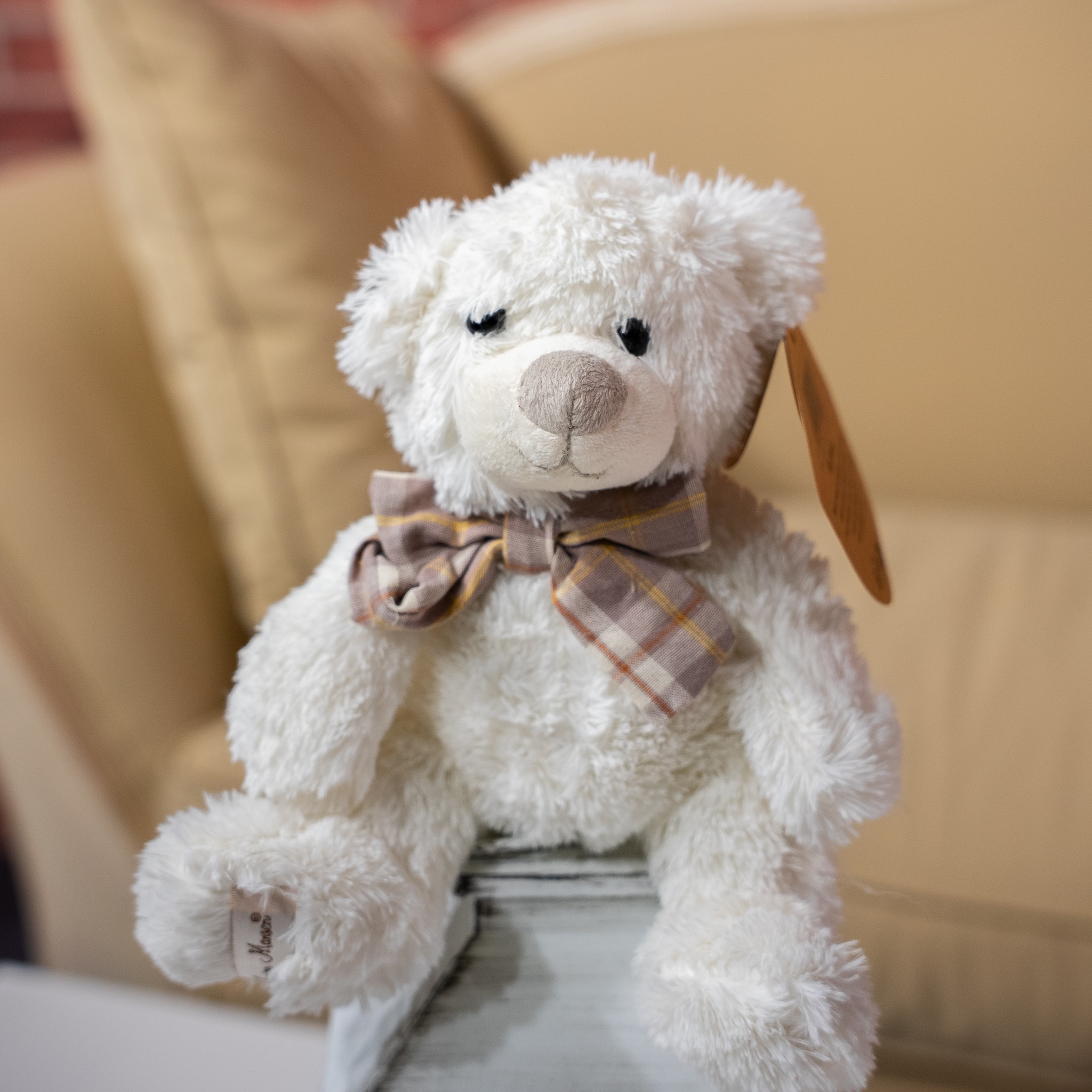 🎁 Offrez un câlin pour Noël 🎄
Notre peluche "OURS NILS écru" est le cadeau parfait pour répandre la douceur🧸 !
👉 https://www.lecomptoirdesauthentics.com/product-page/peluche-ours-nils-écru-22-cm
#Noel #cadeau #peluche #ourson #lecomptoirdesauthentics #ideecadeau