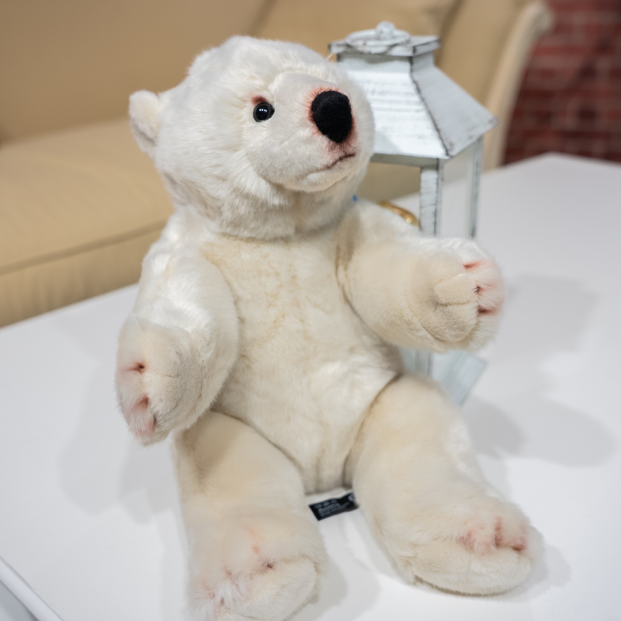 La magie de Noël tient dans un simple câlin 🎁✨
Notre adorable "Ours Polaire" apportera douceur et tendresse sous le sapin🎄
🧸 Le cadeau parfait pour petits et grands !
👉 https://www.lecomptoirdesauthentics.com/product-page/peluche-ours-polaire-35-cm-anima
#Noel #cadeaunoel #peluche #ourspolaire #douceur #lecomptoirdesauthentics #magiedenoel