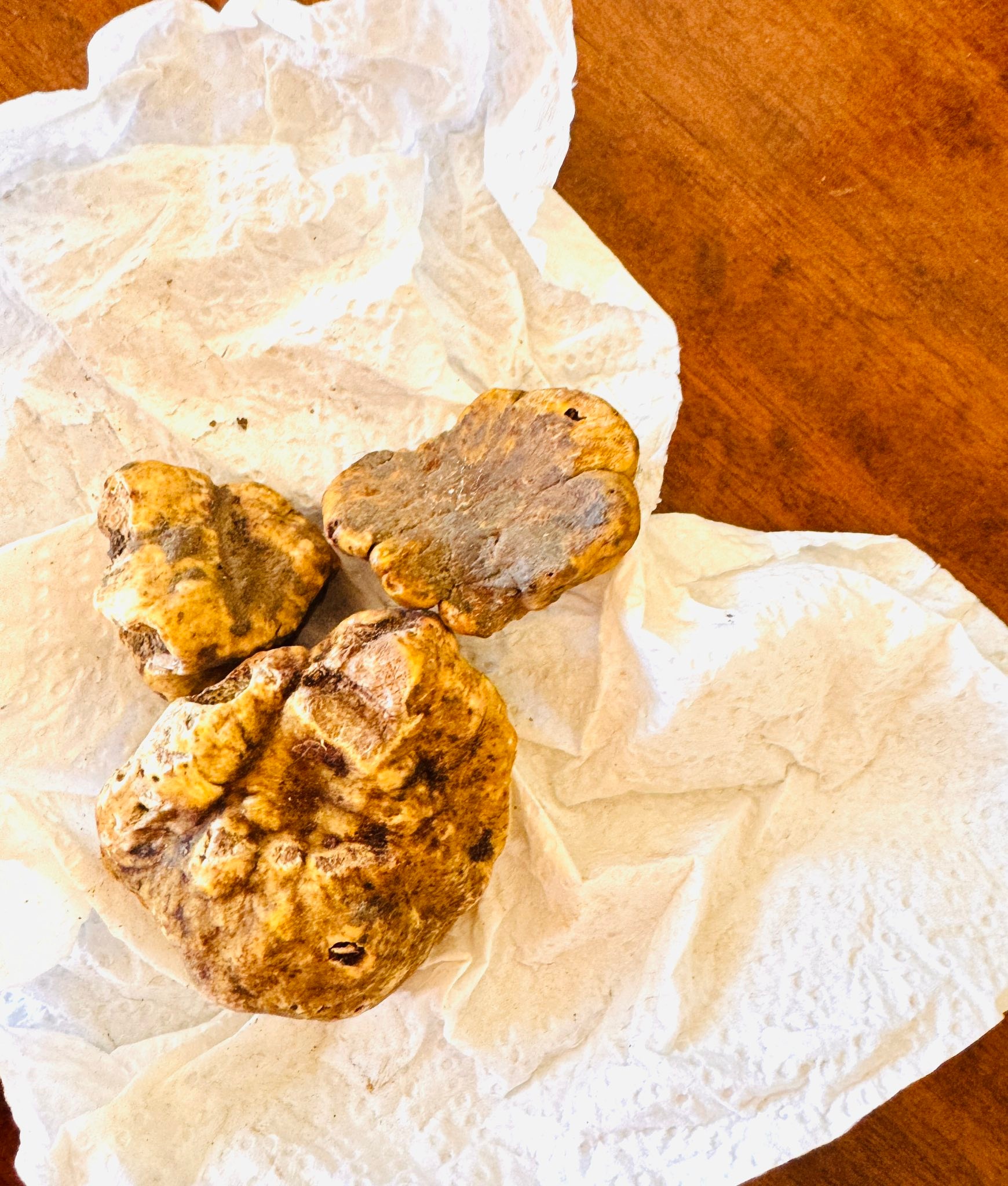 Dining at Ruffino tonight.
Yesterday we picked some white truffles from the ground not far from Ruffino. 
Now we are talking about white truffles that are intense and wonderful in aroma. 
Handmade small raviolis filled with oxtail. So simple when you use the best ingredients with your cooking skills. 
Thats life at Ruffino
casasanruffino.com