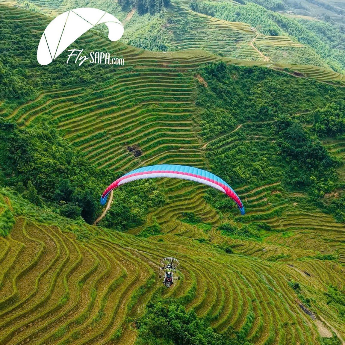 🏔️ Những trải nghiệm mới ở Sapa 2025 – Hay hơn cả tour trekking!
Sẵn sàng cho những cuộc phiêu lưu mới giữa núi rừng Sapa? Đây là 15+ hoạt động nhất định phải thử:
1️⃣ Dù lượn Sapa – FlySapa Paragliding 🪂
Bay trên ruộng bậc thang từ điểm cất cánh cao nhất Việt Nam!
2️⃣ Paramotor Trike ✈️
Trải nghiệm cảm giác như lái máy bay siêu nhẹ giữa không trung.
3️⃣ Bắn súng thể thao tại Sapa Shooting Club 🎯
4️⃣ Xe Trượt Núi Bản Mòng
5️⃣ Đường trượt cầu vòng – Rainbow Slide 🌈
6️⃣ Cầu kính Rồng Mây – Rong May Glass Bridge 🌫️
7️⃣ Bản Cát Cát – Dịch vụ chụp ảnh A–Z 📸
8️⃣ Trekking qua ruộng bậc thang và bản làng 👣
9️⃣ Cáp treo Fansipan 🚠
🔟 Khám phá chợ địa phương
1️⃣1️⃣ Tắm lá thuốc & Spa Dao Đỏ 🛁
1️⃣2️⃣Homestay qua đêm tại bản Tả Van
📍Xem chi tiết tại: https://www.flysapa.com/vi/post/things-to-do-in-sapa
FLY SAPA PARAGLIDING - Dù Lượn Sapa
🌐 Website: www.flysapa.com
📞 Hotline/WhatsApp: (+84) 58.414.6688
📲 Facebook | Instagram | TikTok: @flysapa
#FlySapa #DulượnSapa #ParaglidingSapa #SapaTravel #Sapa2025