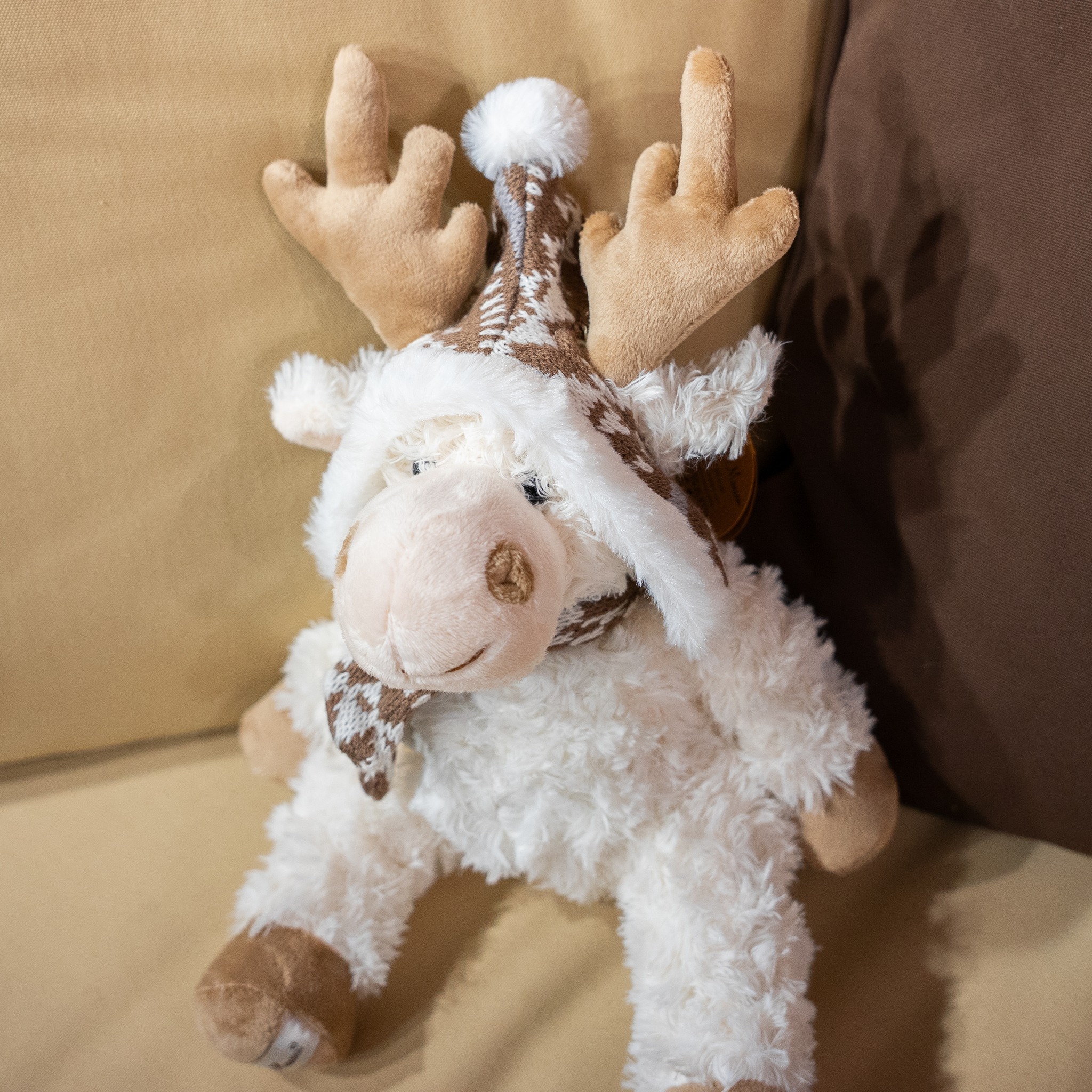 🧸 Offrez un câlin pour Noël 🎄
Notre peluche "ELAN Caribou Blanc" est le cadeau parfait pour répandre la douceur !
🎁 https://www.lecomptoirdesauthentics.com/product-page/peluche-elan-caribou-blanc-allan-louise-mansen-25-cm
#Noel #cadeau #peluche #caribou #lecomptoirdesauthentics #ideecadeau