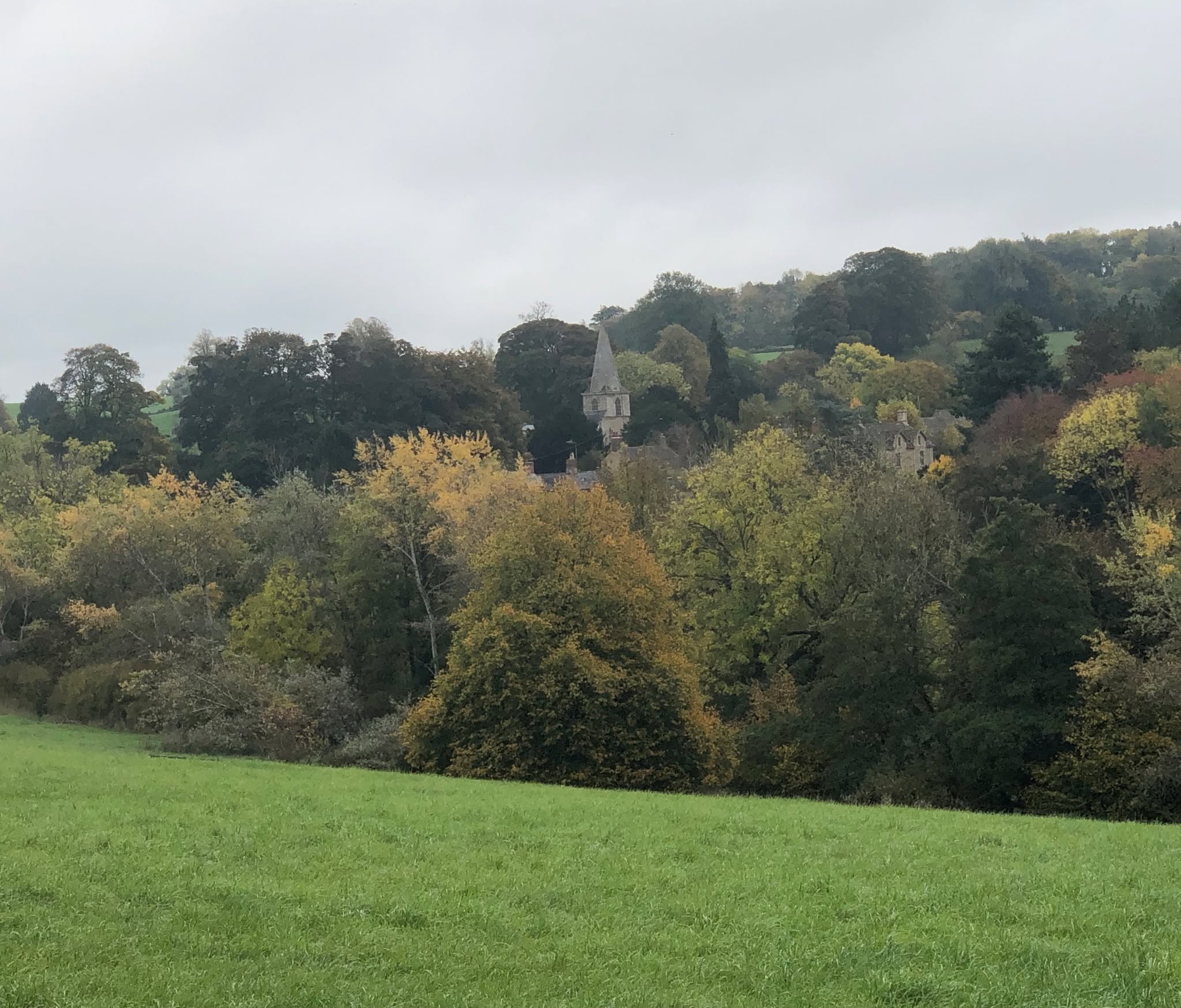 Can you spot the church? Autumn in the Cotswolds is full of shades of green and brown... but you are never far from a church - this one is at Swerford.
#offbeatcotswolds #bluebadgeguide #bluebadgeguides
#britainsbestguides #Cotswolds #thecotswolds
#inthecotswolds #cotswoldcountry #Cotswolds_Culture #lovethecotswolds
#discoverthecotswolds #visitthecotswolds #discovercotswolds #cotswoldslife #cotswoldlife #thecotswolds
#your_cotswolds
#cotswolds #thecotswolds #cotswoldvillage #visitengland #englishvillage
#englishcountryside
#explore_britain_ #traveling_uk
#photosofengland #instabritain #europetravel