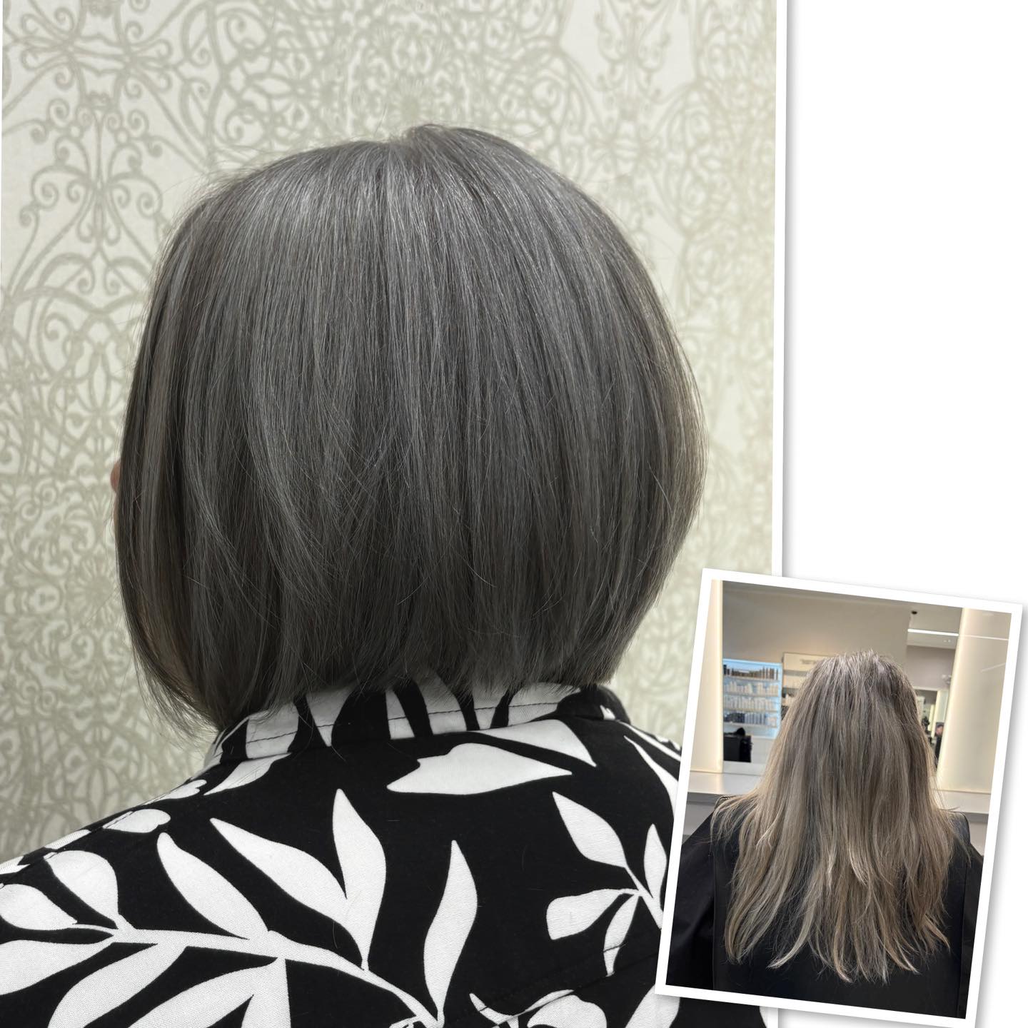 🩶 Natürliche Eleganz mit grauer Farbpflege!
Hier wurde kein neuer Farbton gefärbt – nur mit einer grauen Farbpflege gearbeitet, um das natürliche Grau zu veredeln und den Glanz hervorzuheben.
Ein frischer, moderner Bob rundet den Look perfekt ab. 🤍🩶💇♀️