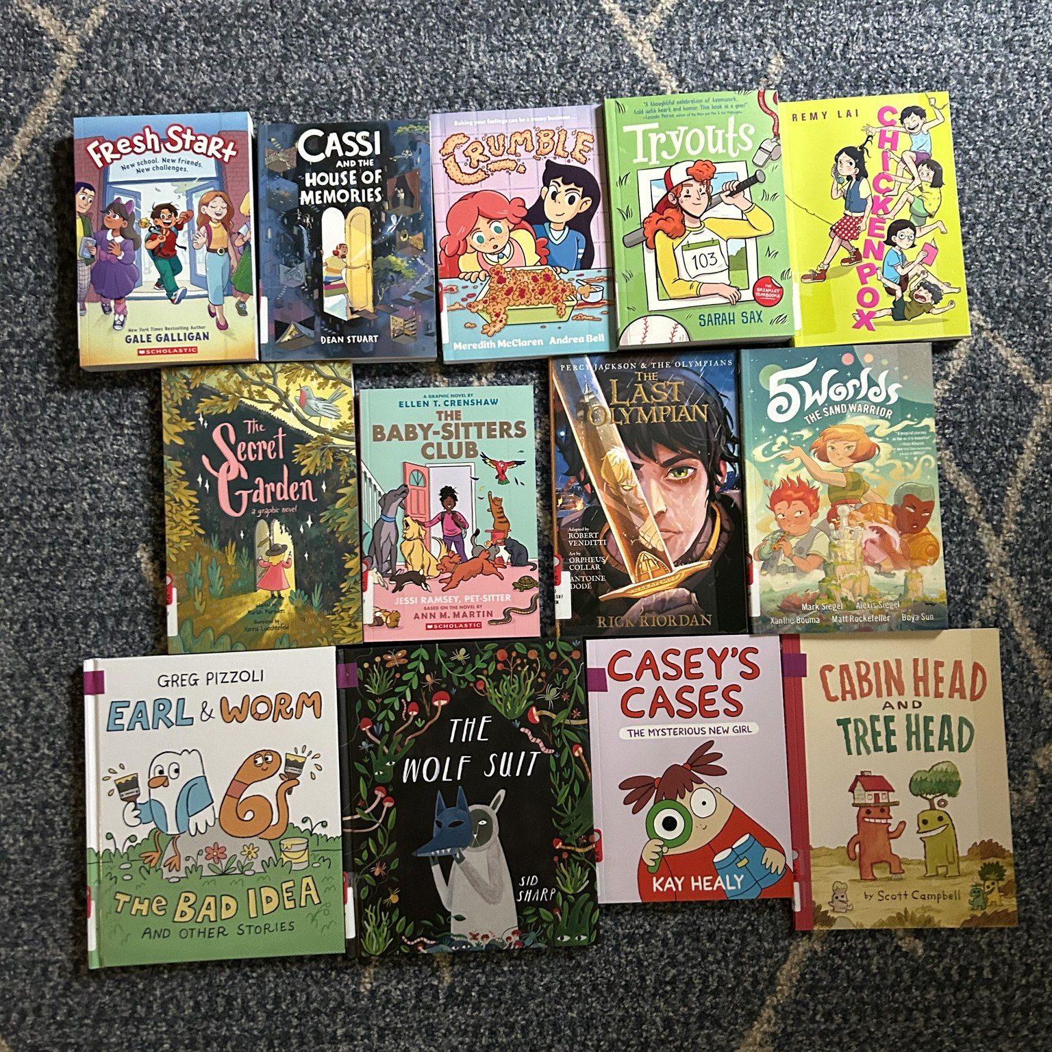 We have some new graphic novels ready for you to borrow! Come check them out! #johnsonpubliclibraryvt  #newbooks