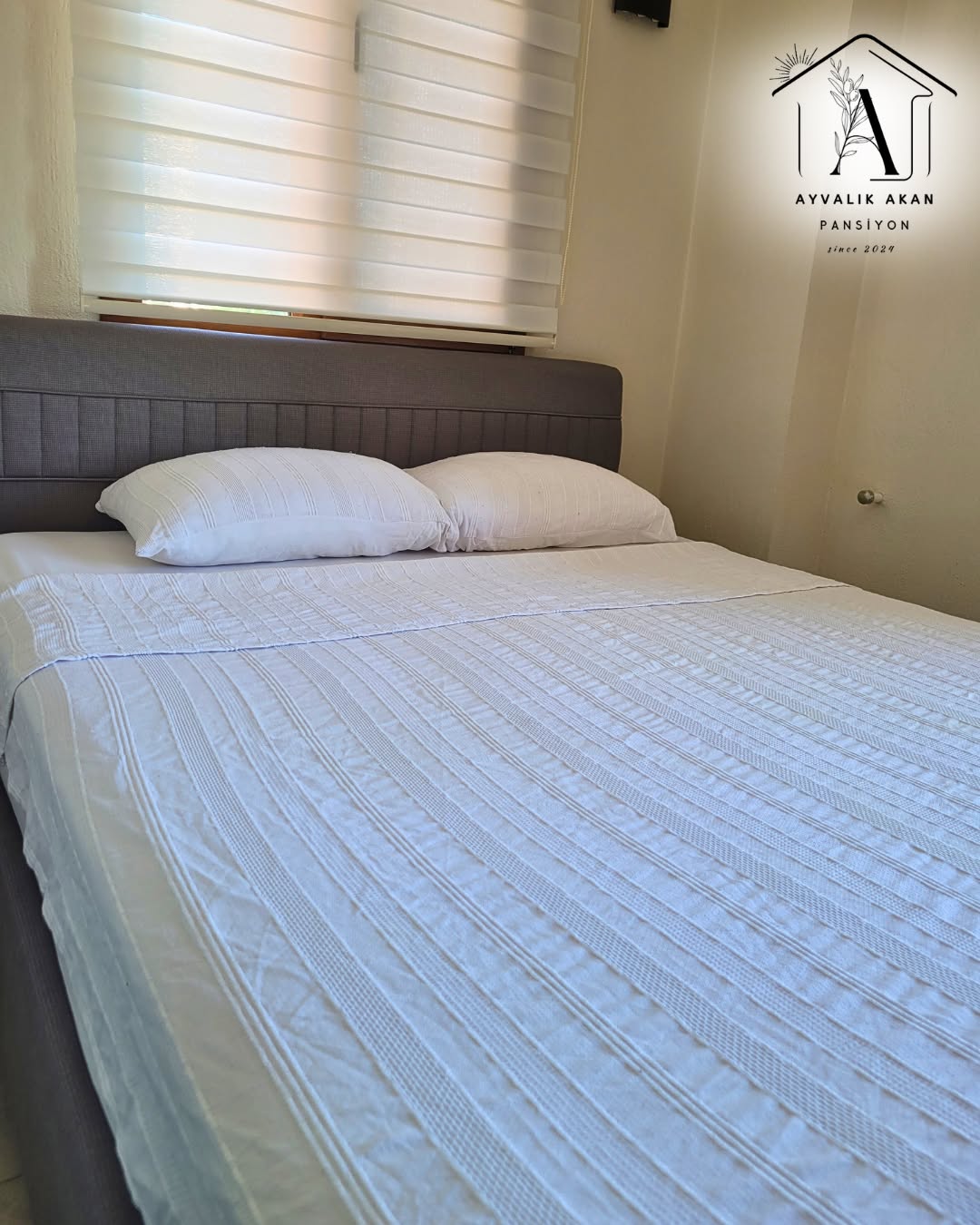 Gösterişli otellerin soğukluğundan uzak, samimi ve sıcak bir atmosfer düşün.
İşte tam olarak o: Ayvalık Akan Pansiyon.
Temiz odaları, özenli kahvaltısı ve güler yüzlü insanlarıyla burası, Ayvalık’ın en doğal hali.
Huzuru bulmak için uzağa gitmene gerek yok. 🌿