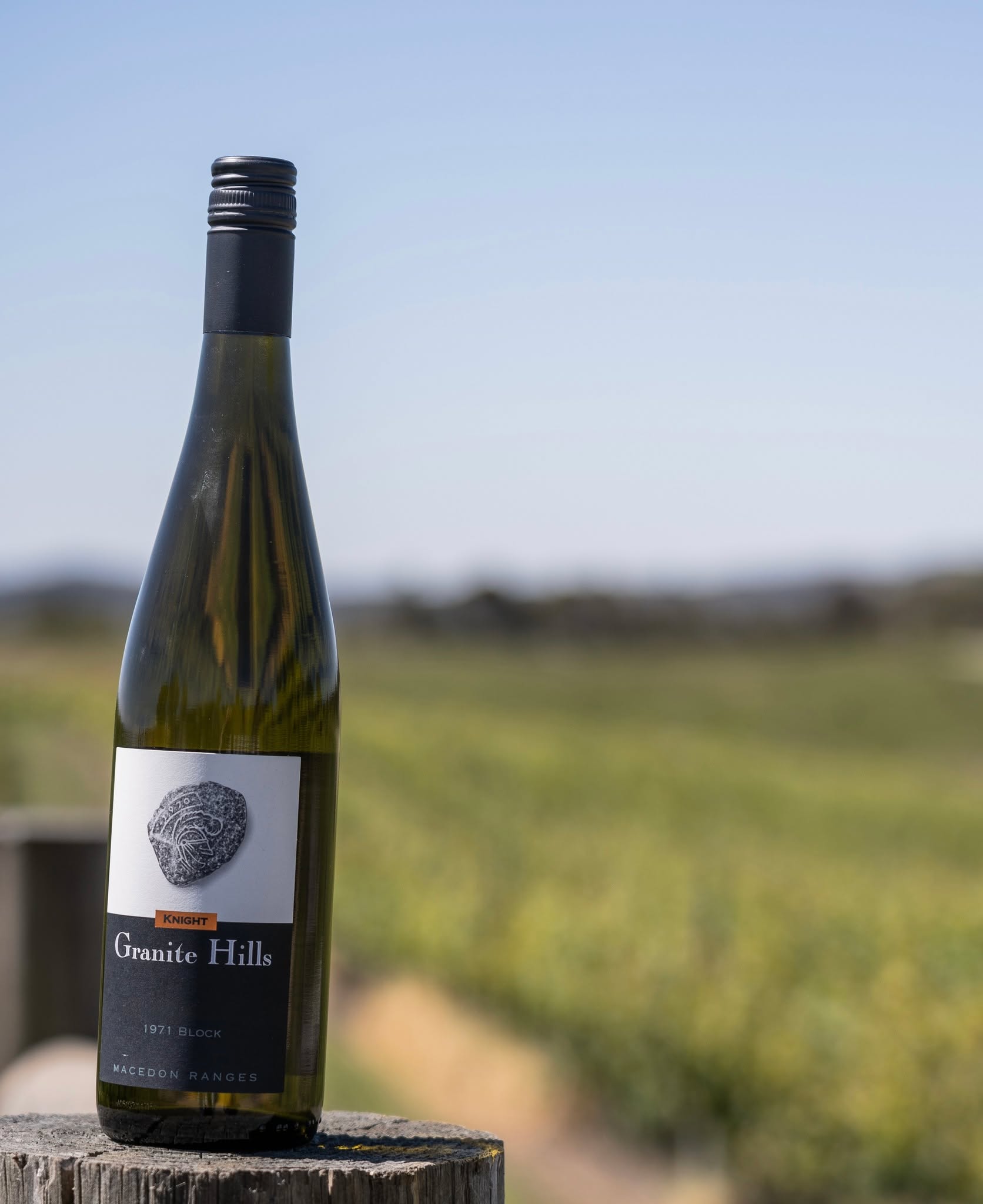 Our 2024 release marks the 50th vintage from the oldest Riesling vines on the property, a milestone for the vines, the family, and the land that has carried them both.
The 1971 Block Riesling has been a part of Granite Hills from the very beginning, being the second block planted by the Knight family, and perhaps the first to show just how well this site could speak through wine.
The older vines bring depth of flavour and drive, and for 5 decades the block has formed the core of the Estate Riesling, helping that wine win 42 trophies over those years. As the more recent plantings mature, more and more often the ‘young’ vines can stand on their own and there is an opportunity to release a portion of the old vines as a separate wine.
Still not released every year, the 2024 edition is classic Granite Hills. It has a beautifully floral nose, and a palate of finger lime, just ripe stonefruits and mouth-watering acidity.
A wine worthy of the 50th vintage, it tastes as if someone took the Estate Riesling and turned all the dials up one notch.
.
.
.
.
.
#macedonrangeswine #visitmacedonranges #macedonrangesnaturallycool #visitvictoria #daylesfordmacedonrangestourism #daylesfordmacedonranges #daylesfordmacedonlife #lancefield #cobaw #explorevictoria #countryvictoria #macedonranges #granitehills #granitehillswinery #australianwine #victorianwine #winemakers #wineaustralia #smallbatchwine #cellardoor #macedonrangeswinery #reisling #winepairings