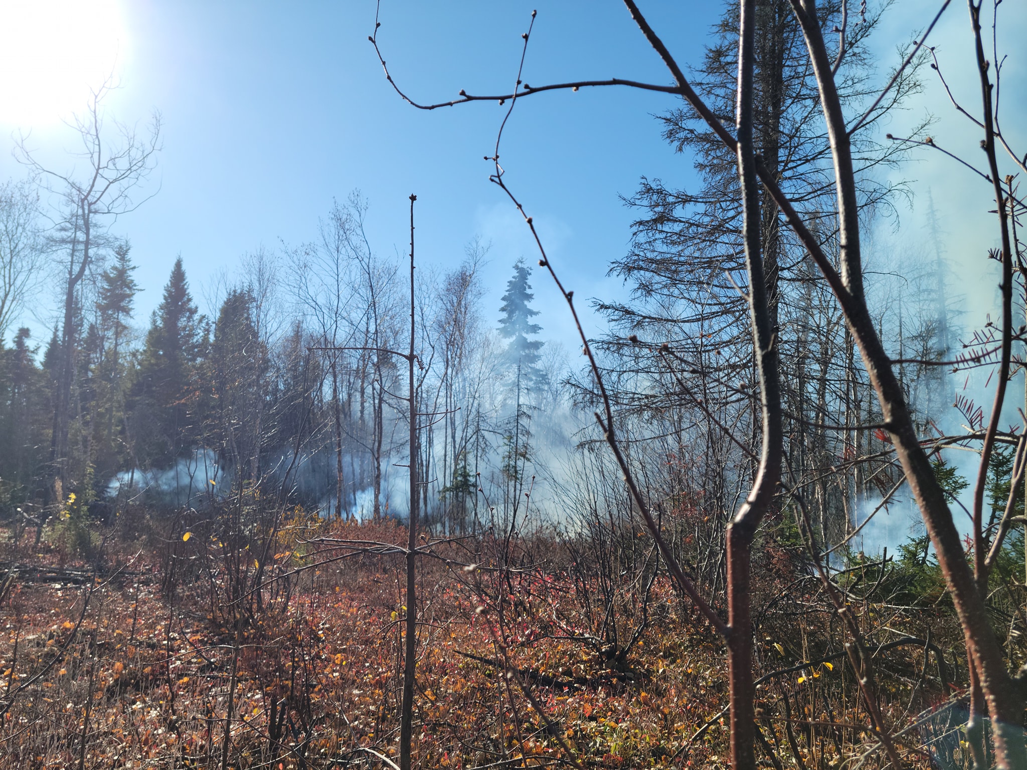 Nettoyage de la zone de coupe de l’hivers passée.