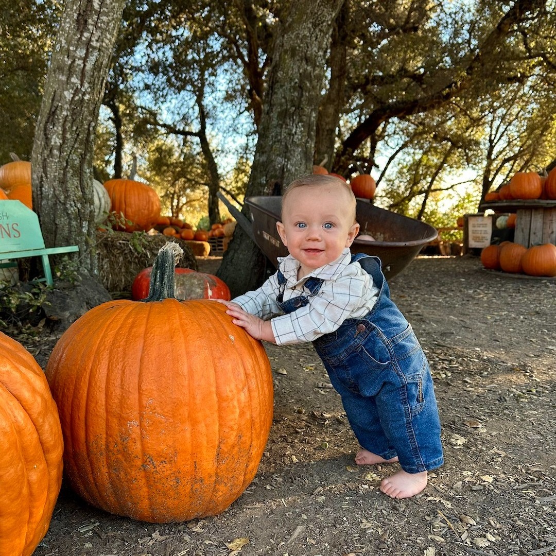 This is the LAST weekend before 🎃 Halloween 🎃
Join us this weekend for:
- - - -
Hours:
Friday, Saturday, and Sunday
10am to 4pm
- - - -
🚜 Farm Activities 🧗
Please see our Harvest Fest website page for all the good-to-know tips.
- - - -
🍓U-Pick 💐
U-pick is only sold on-site and is subject to daily availability.
💐 Bunching Flowers 💐 Our fields have beautiful blooms!
🍓Berries 🍓
- Raspberries: We will sell out on Saturday.
Heads up: some of our raspberry plants have little thorns.
*We have a LIMITED supply of berries and a HIGH demand for them.*
Come right when we open to increase your chances of getting a berry u-pick container.
Strawberries and Blackberries: Will be unavailable this week.
🎃 Pumpkins 🎃
Pre-Cut Pumpkins: We have a giant selection of high-quality pumpkin varieties and sizes. Pumpkins are priced by size (see the bottom of the pumpkin).
----
🍔 Julian Food Truck 🍔
Friday-Sunday 10 am to 4 pm
Menu: American Food
Online Ordering Available: www.julianfoodtruck.com
----
🍔 Julian Food Truck 🍔 Beverage Barn
Friday-Sunday 10 am to 4 pm
Menu: Julian Cider, Apple Cider Slushies, Snowcones, and whole pies
----
🛍️ Julian Farm and Orchard Gift Shop 🛍️
Here you can find souvenirs, apparel, hats, and Julian apples and pears
----
Vendors
Gaby's Facepainting will be offering professional face painting (Saturdays and Sundays). 🎨
🍻 TapTruck will be on-site Saturday and Sunday this weekend.
----
We look forward to seeing you at the farm!
www.julianfarmandorchard.com/harvest-fest-fall-season
#JulianFarmAndOrchard #sandiegopumpkinfarm #sandiegofarming #sandiegofarmingcommunity #julianupickfarm #santaysabel #sandiegowithkids #sandiegocounty #juliancalifornia #sandiegopumpkinfarm #sandiegoucutpumpkins #sandiegopumpkinpatch #sandiegofarm #sandiegoupickfarm #sandiegobackcountry #sandiegomountains